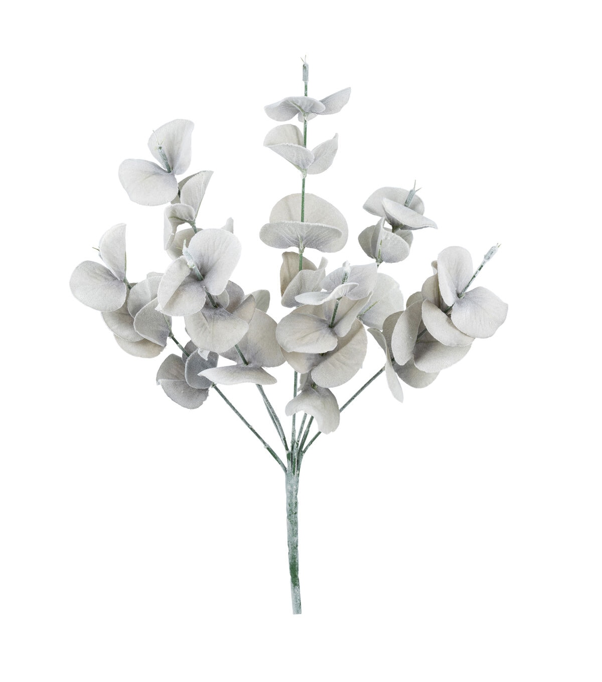 17 Gray Eucalyptus Bush by Bloom Room