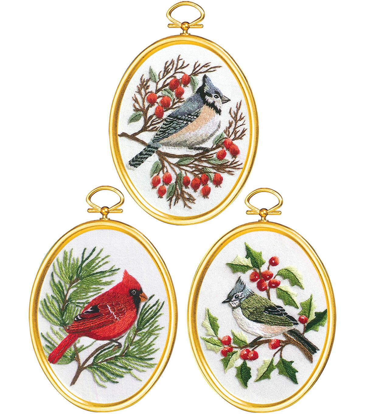 Janlynn 3 x 4 Winter Birds Embroidery Kit 3ct