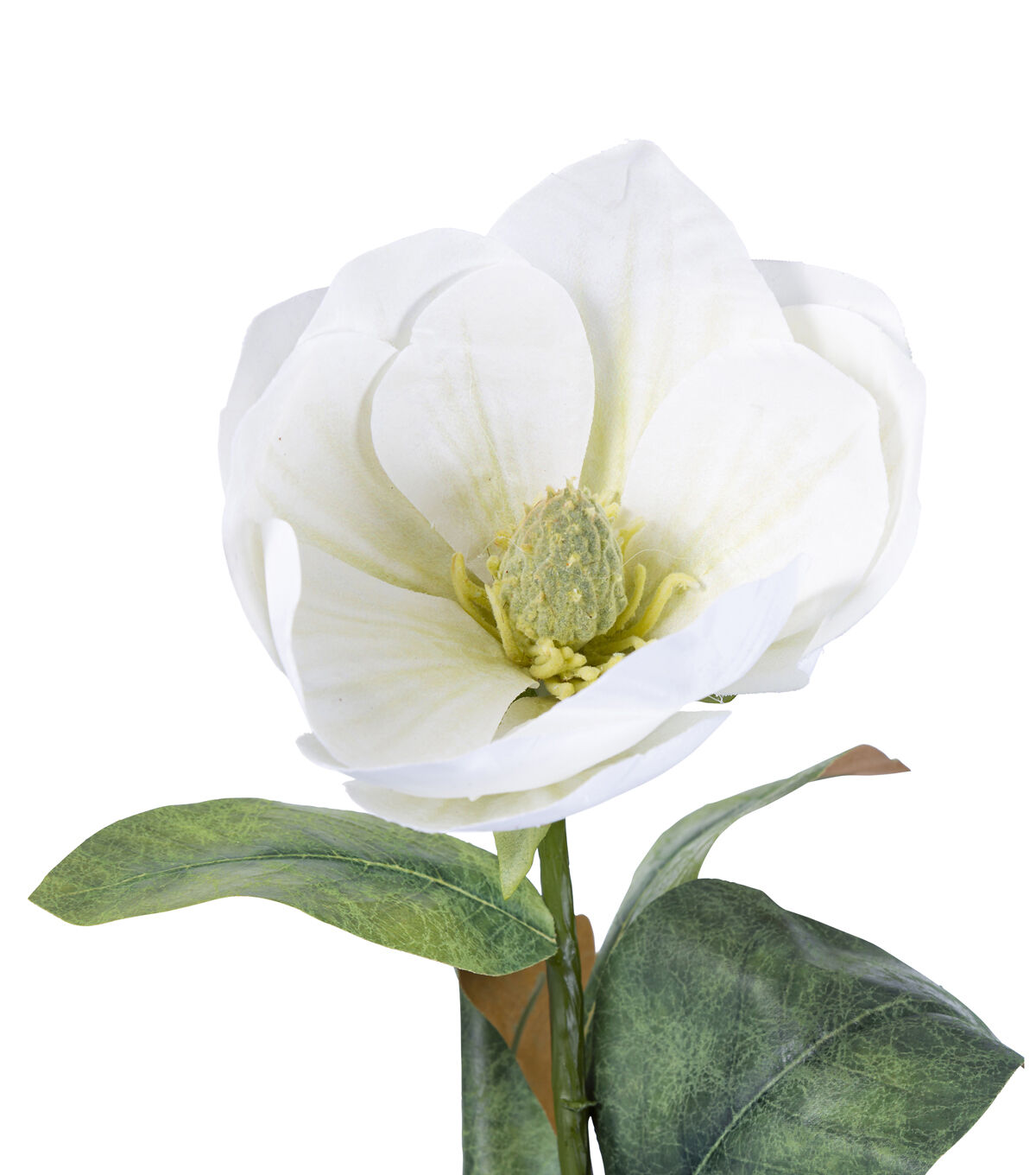 32 White & Green Magnolia Stem by Bloom Room