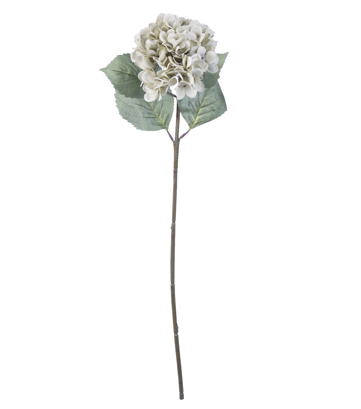 28.5 Green Hydrangea Stem by Bloom Room