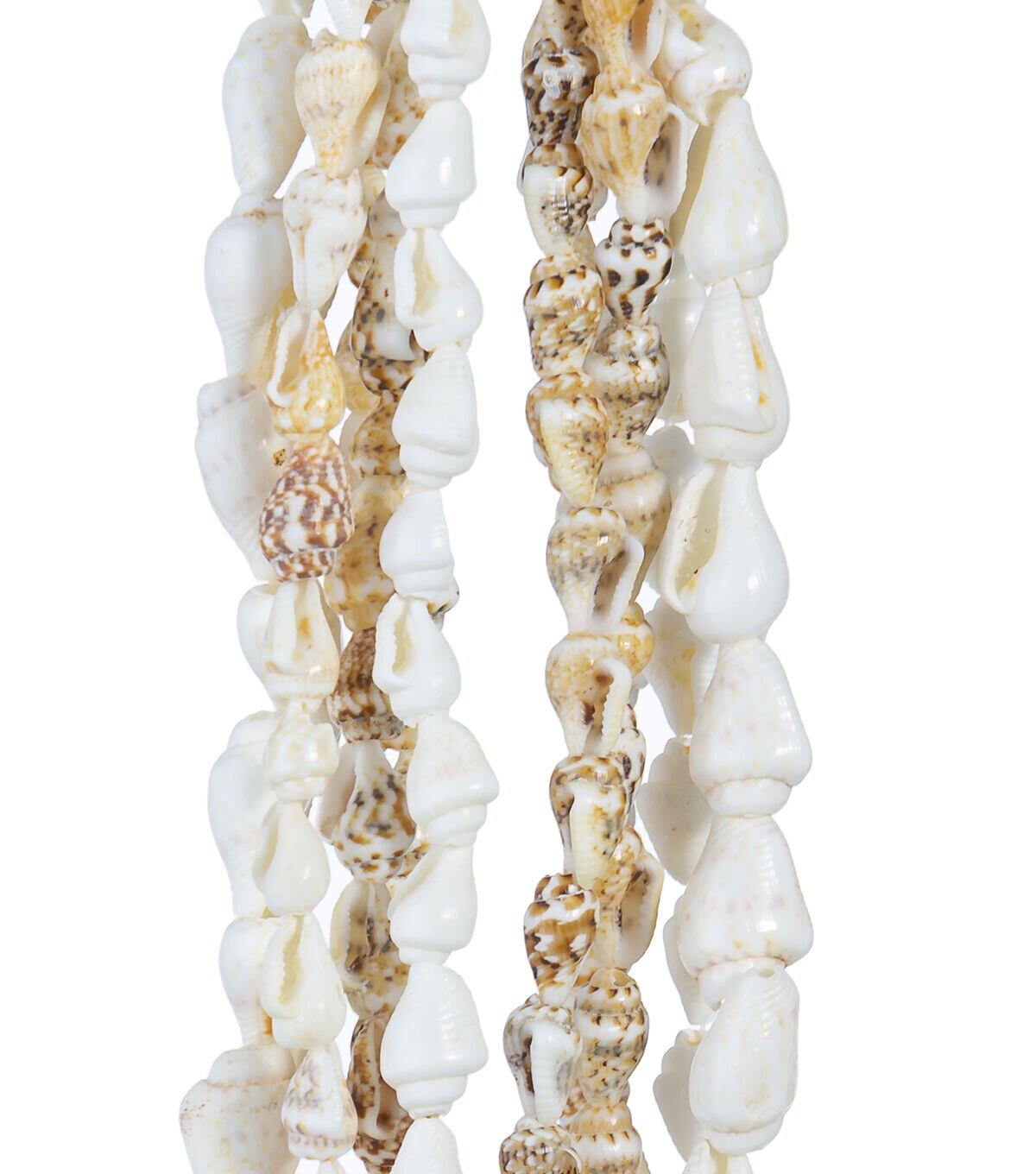 36 Sea Shell Necklaces 5ct by Bloom Room