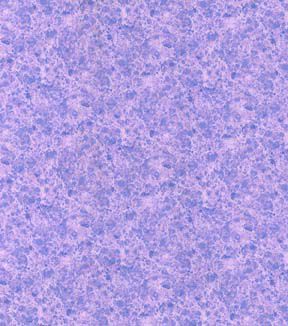 Fabric Traditions Textured Tonals Cotton Fabric by Keepsake Calico