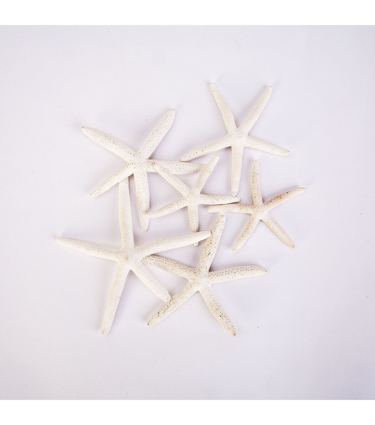 Panacea 6pc Small Finger Starfish
