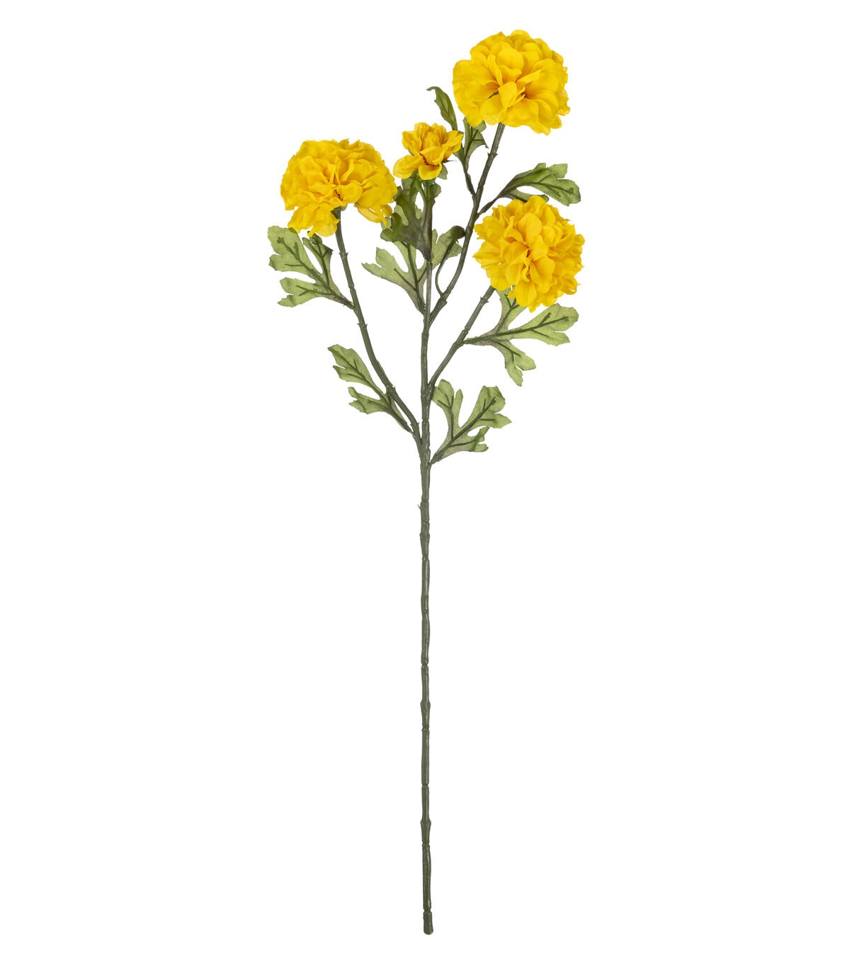 30 Yellow Marigold Stem by Bloom Room