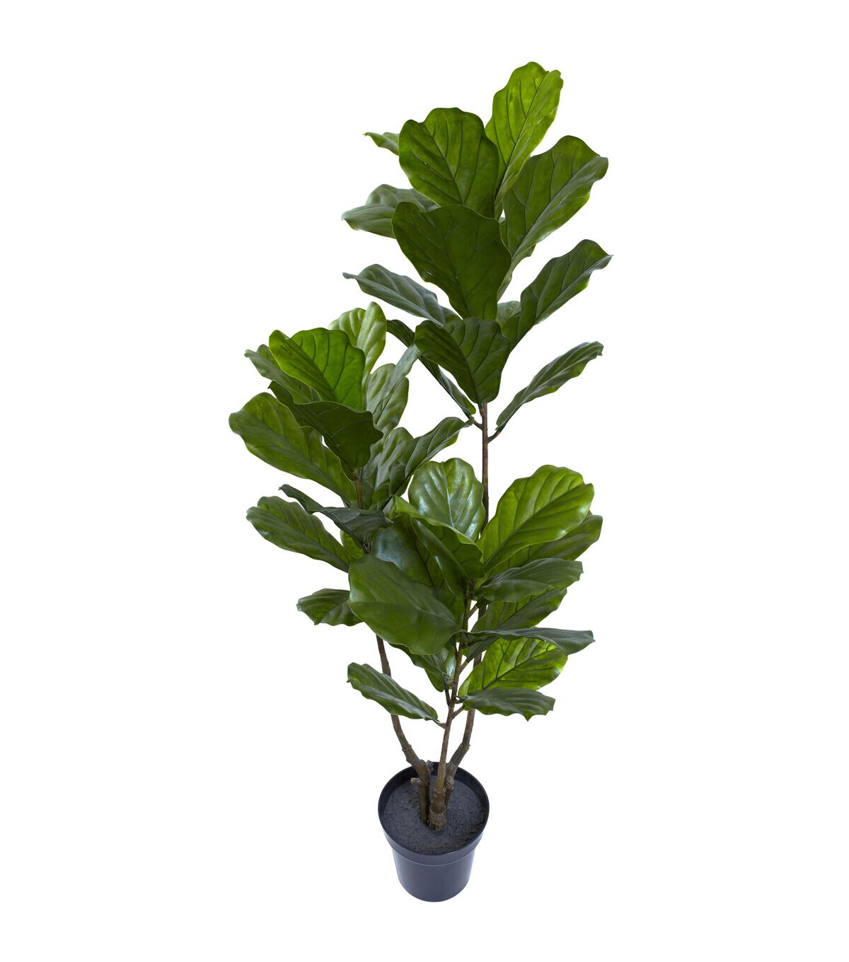 Nearly Natural 65in. Fiddle Leaf Tree UV Resistant (Indoor/Outdoor)