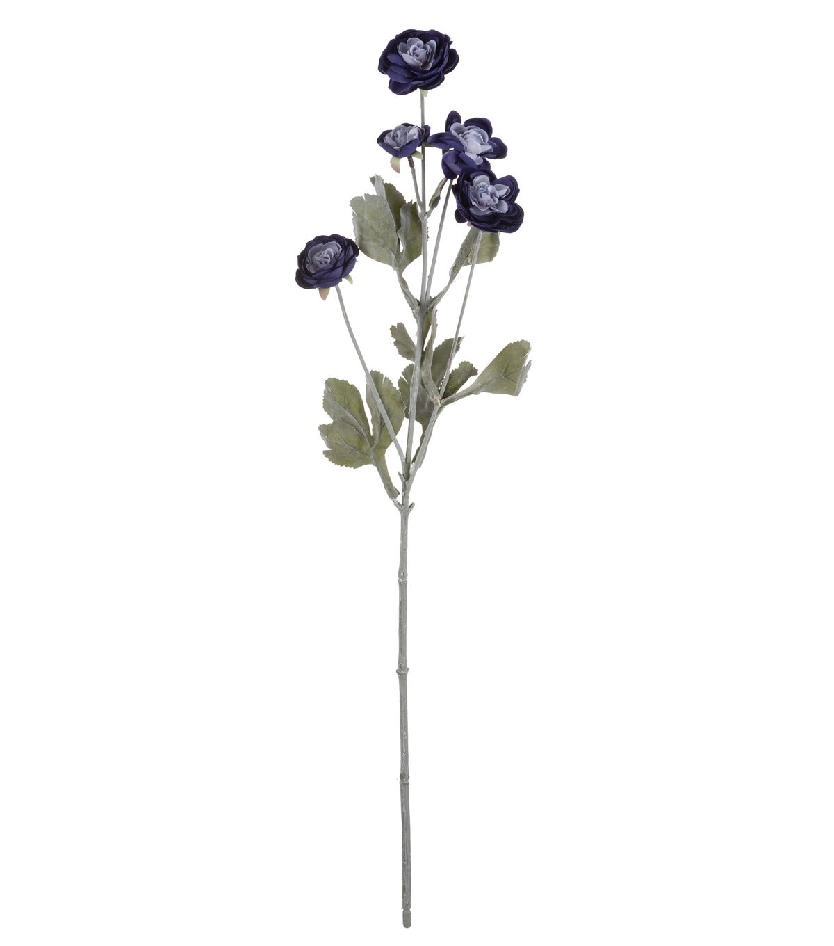 27 Denim Blue Ranunculus Stem by Bloom Room