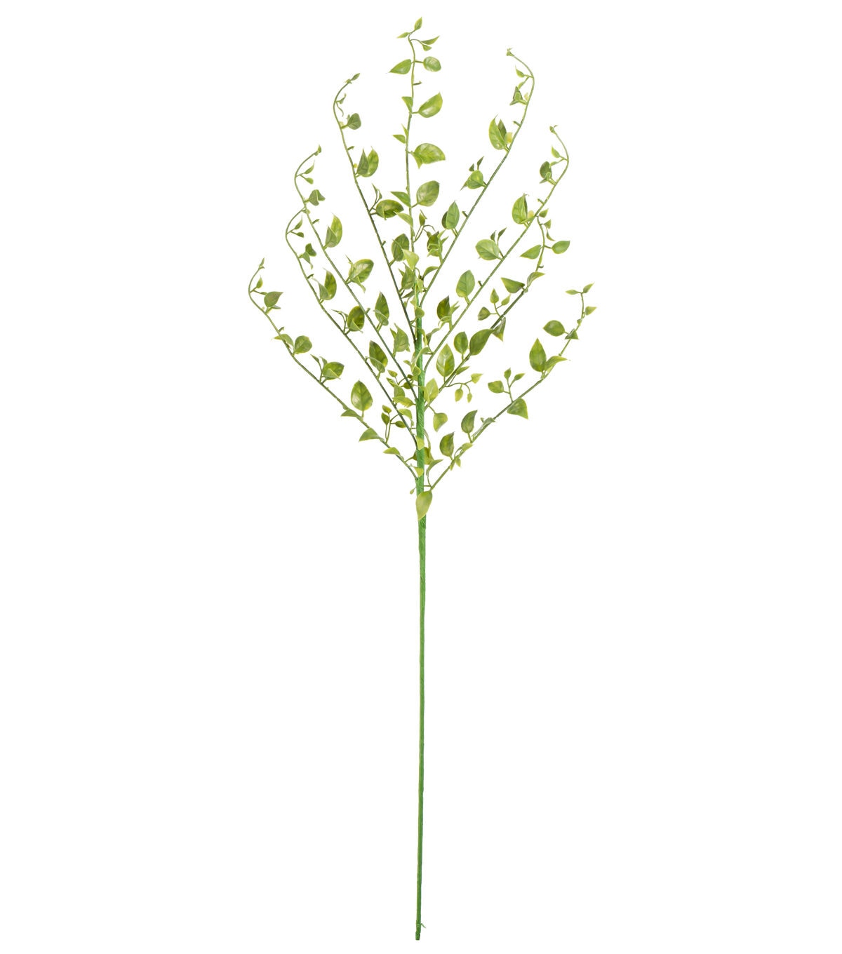 34 Light Green Leaf Stem by Bloom Room