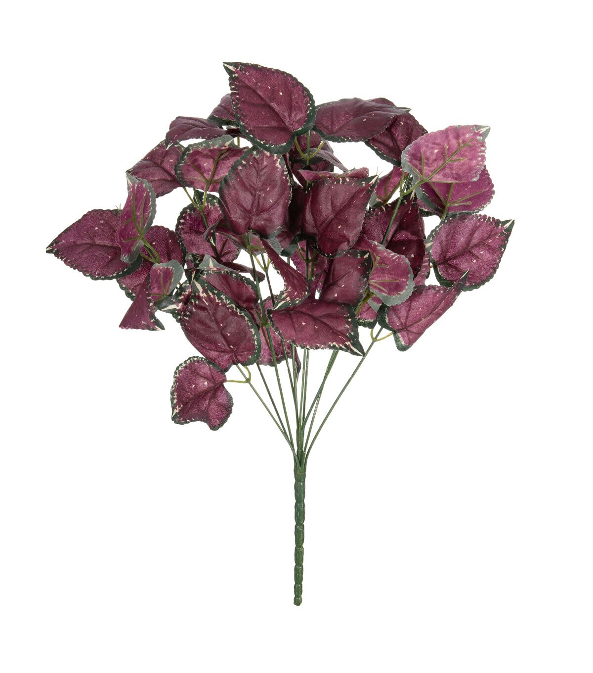 17 Purple & Green Ivy Bush by Bloom Room