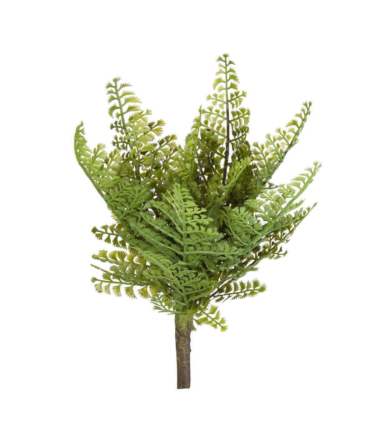 12 Maidenhair Fern Pick by Bloom Room