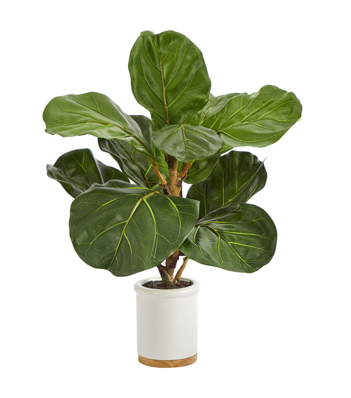 Nearly Natural 21 Fiddle Leaf Artificial Tree in White Ceramic Planter
