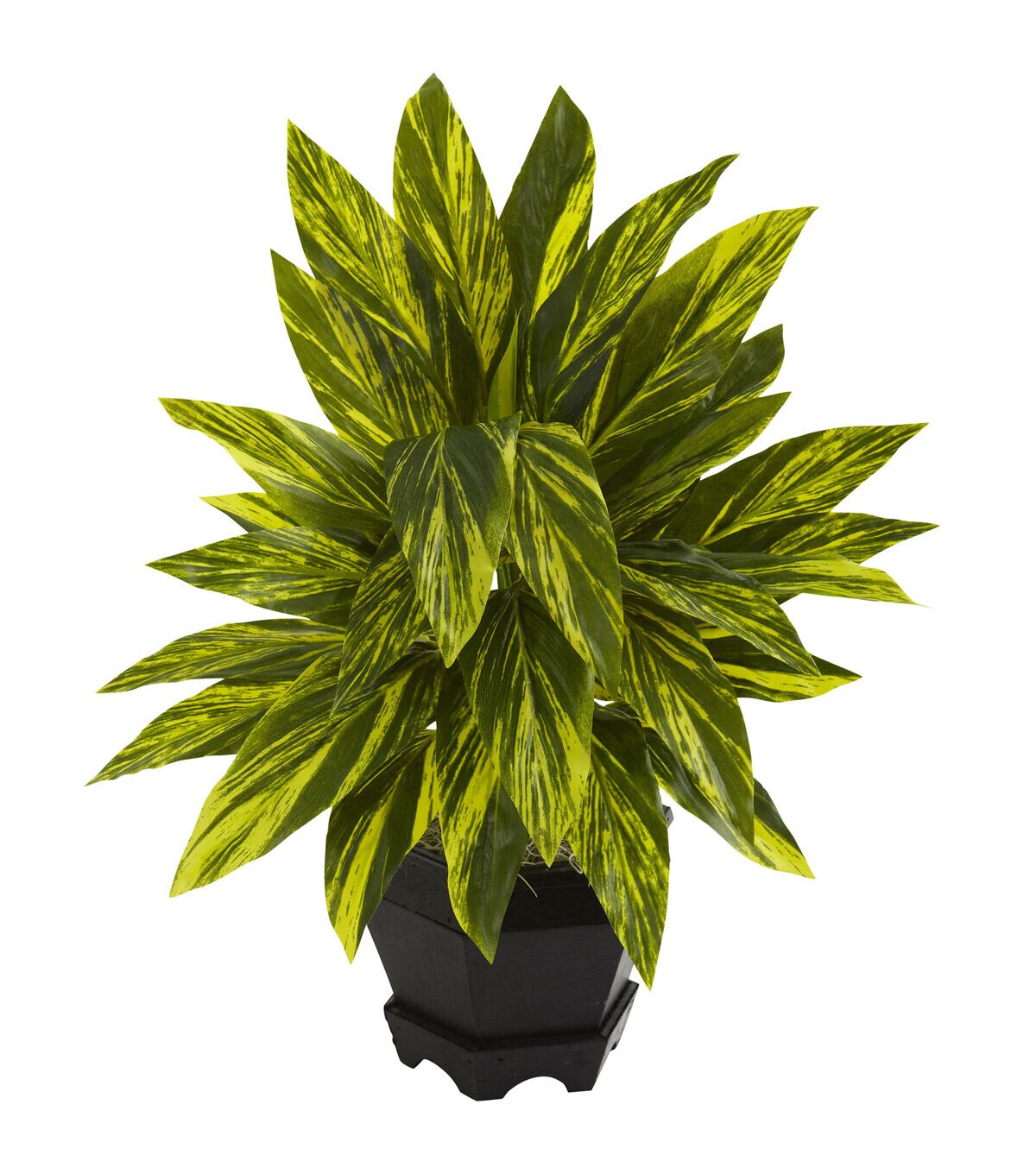 Nearly Natural Ginger Plant with Black Planter