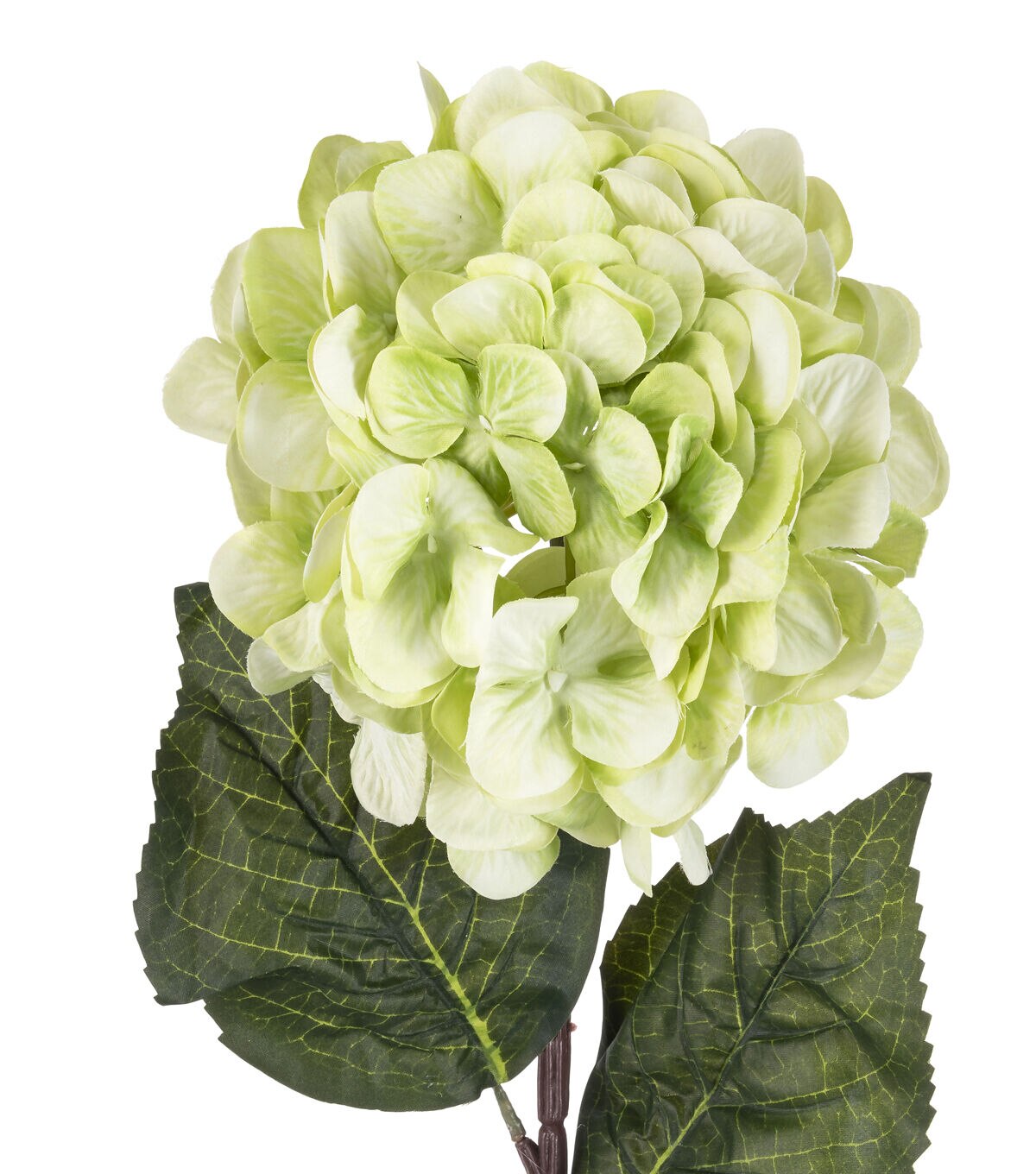 32 Green Hydrangea Stem by Bloom Room