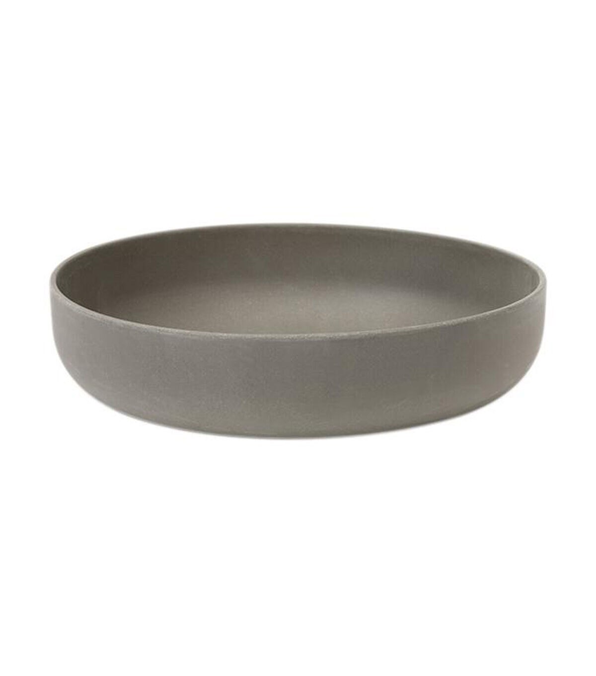 OASIS Ecossentials 9.5 Designer Dish Slate