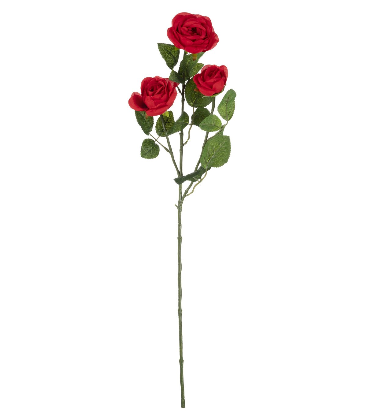 31 Red Cabbage Rose Stem by Bloom Room