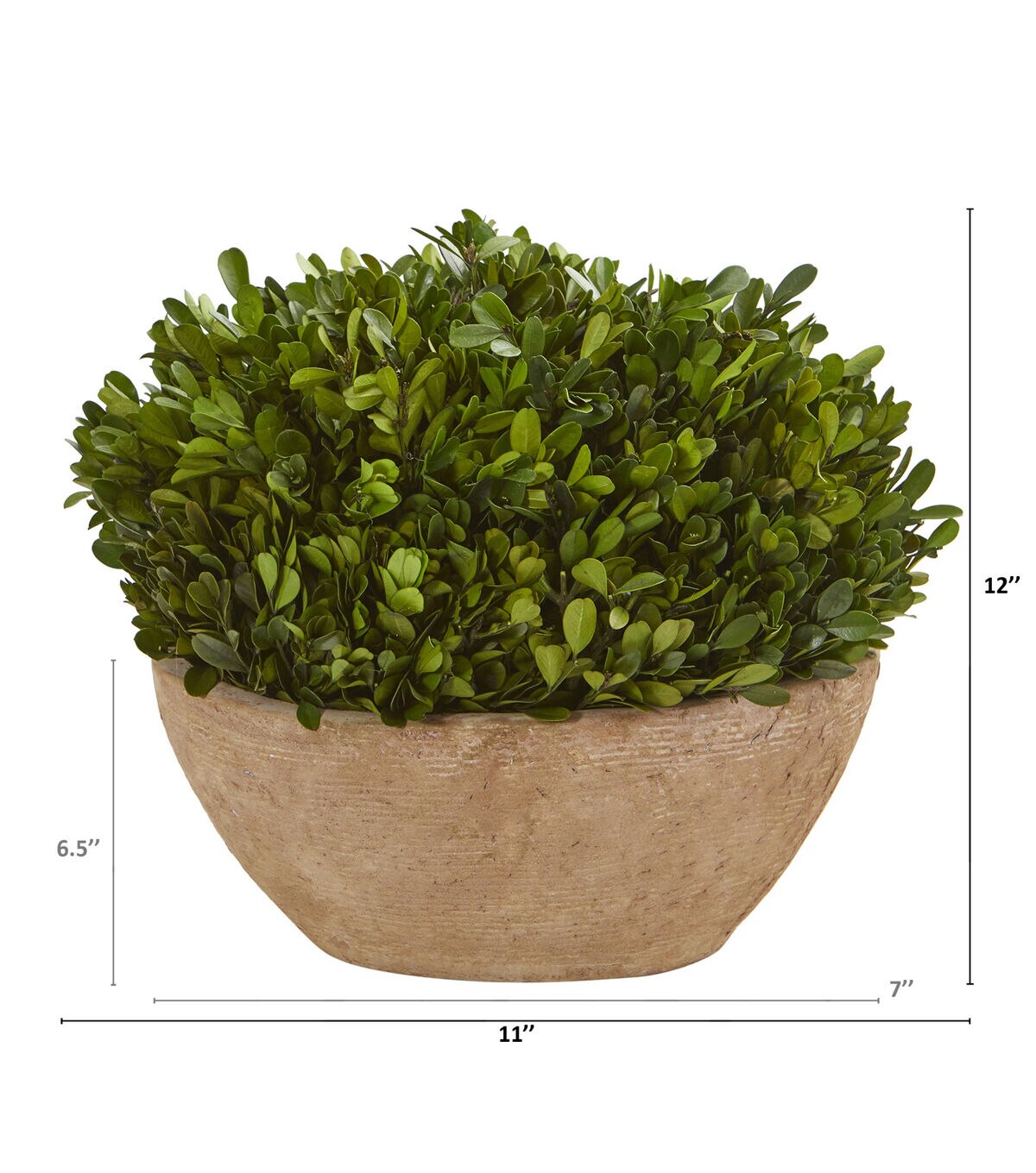 Nearly Natural 12 Boxwood Preserved Plant in Brown Planter
