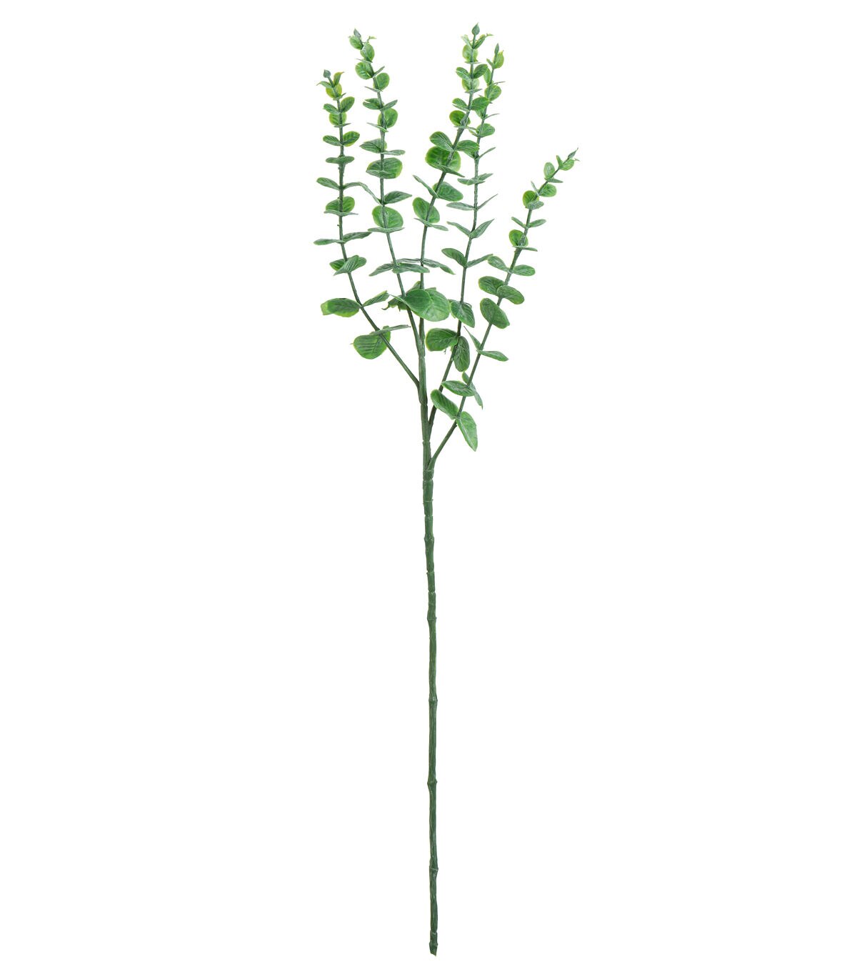 28 Dark Green Eucalyptus Stem by Bloom Room