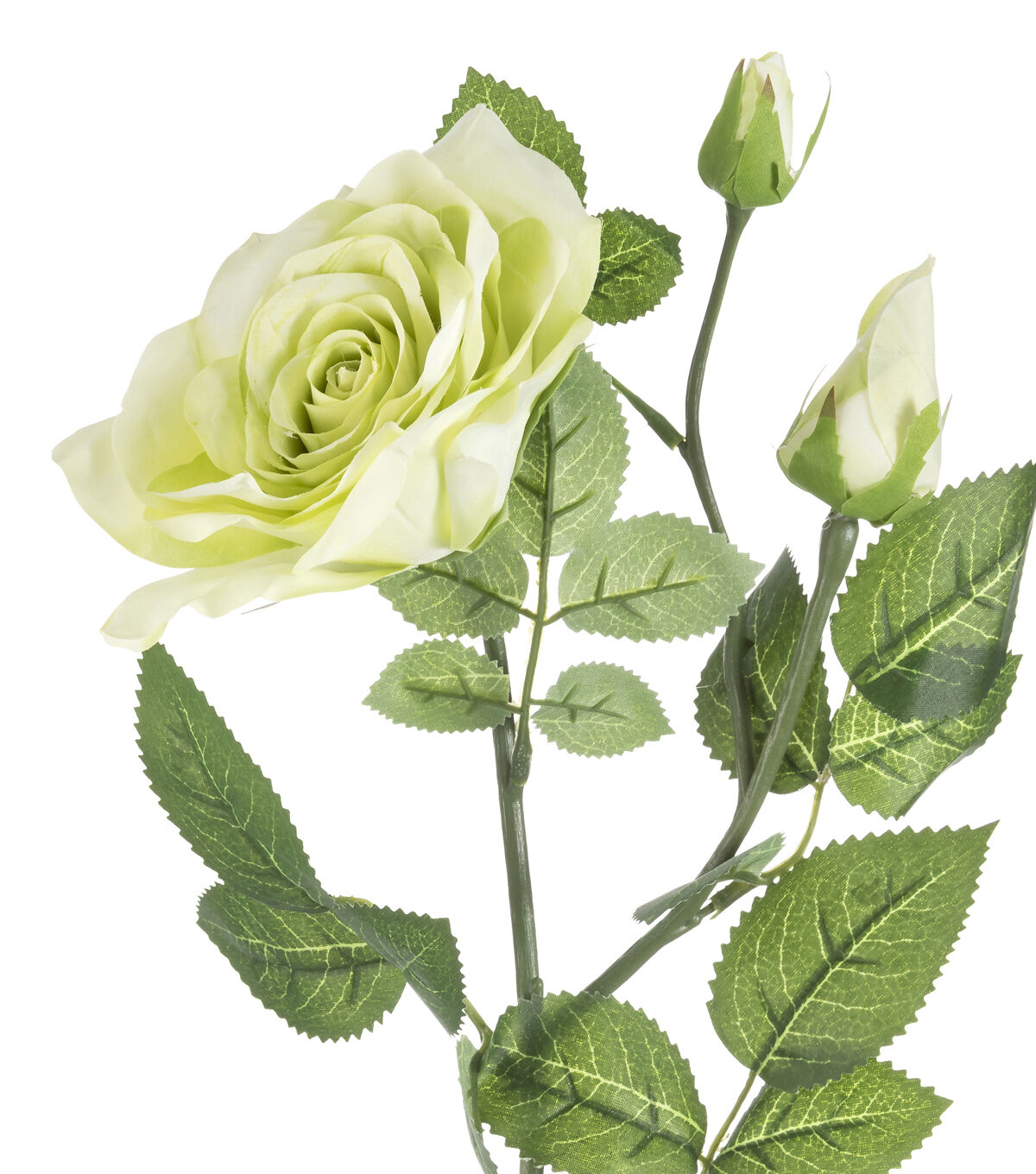 26.5 Green Rose & Bud Stem by Bloom Room
