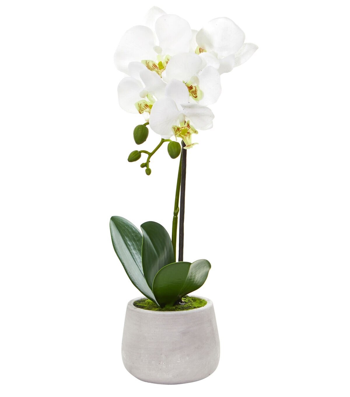 Nearly Natural Phalaenopsis Orchid Artificial Arrangement 2pc