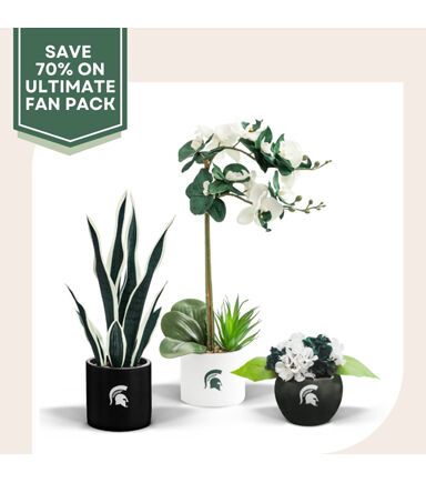 Forever Leaf 3pc Michigan State Snake With Orchid & Hydrangea Plants