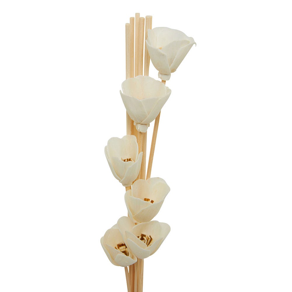 Flora Natural Reeds