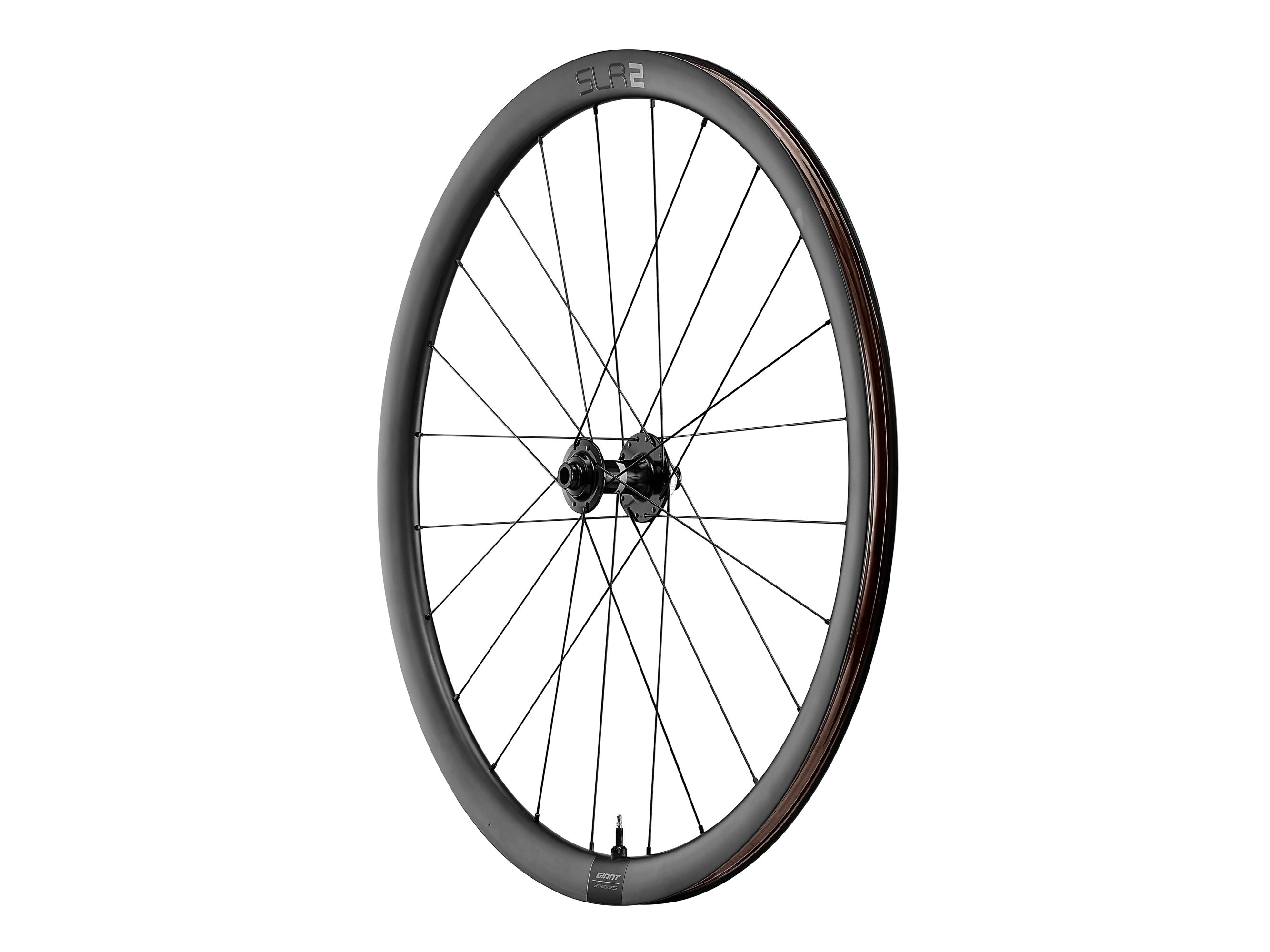SLR 2 36 Disc Wheelsystem