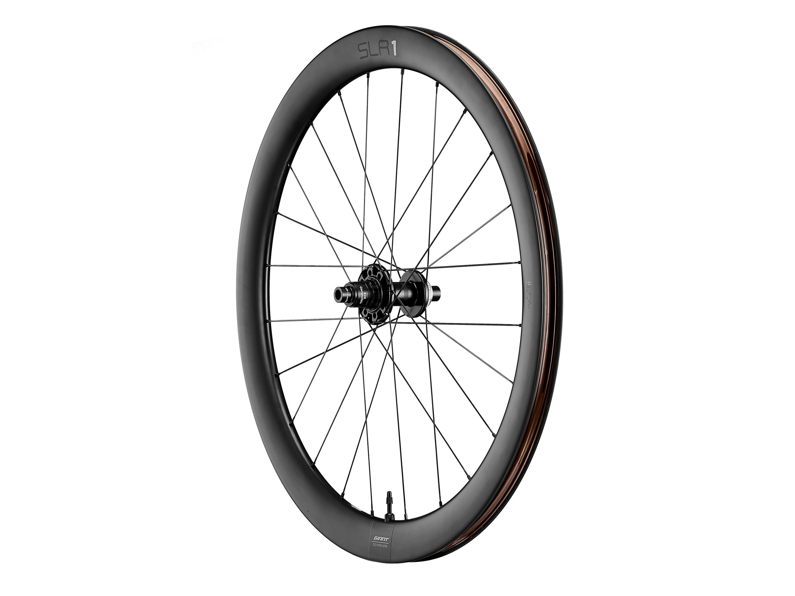 SLR 1 50 Disc WheelSystem