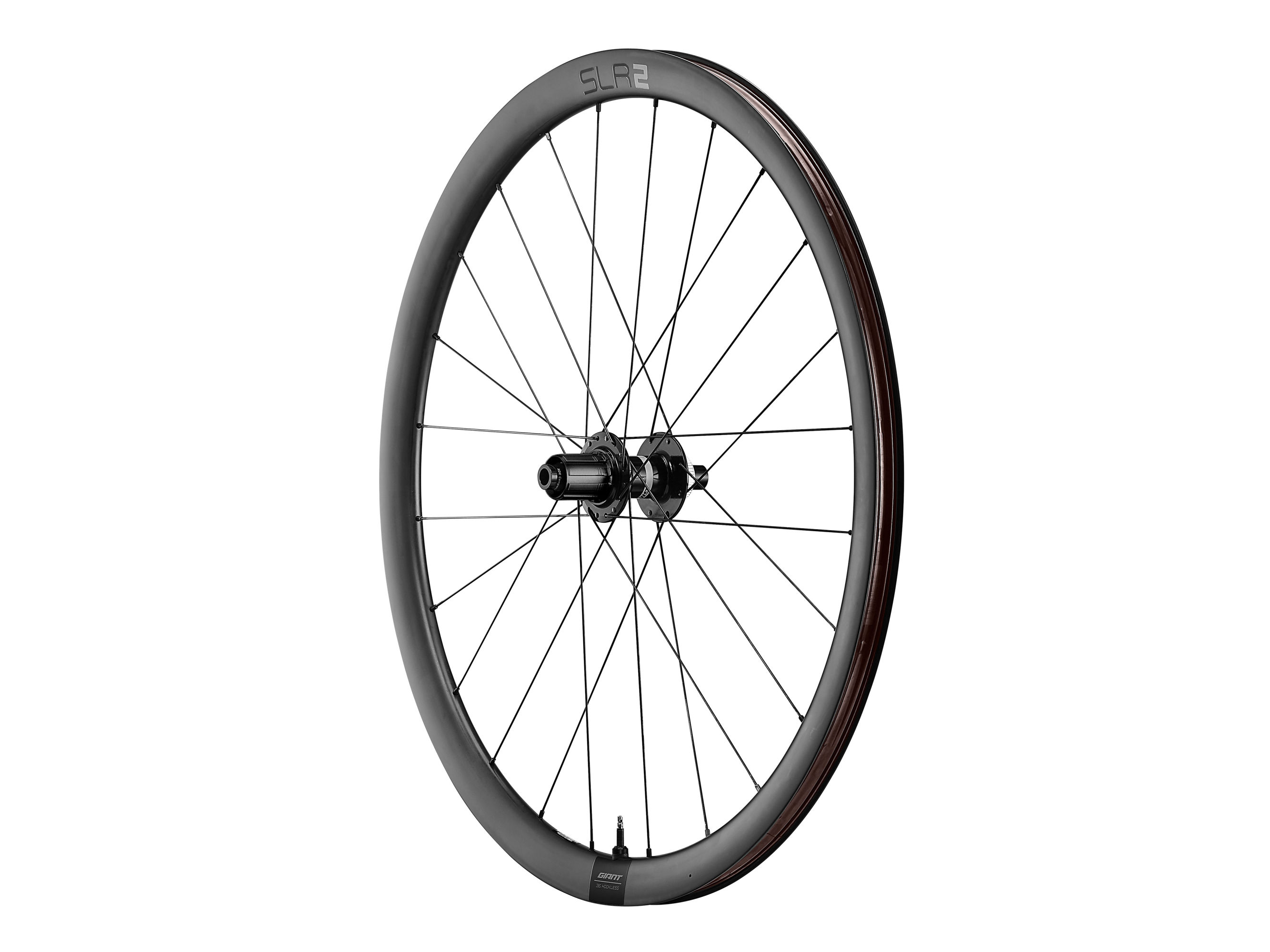SLR 2 36 Disc Wheelsystem