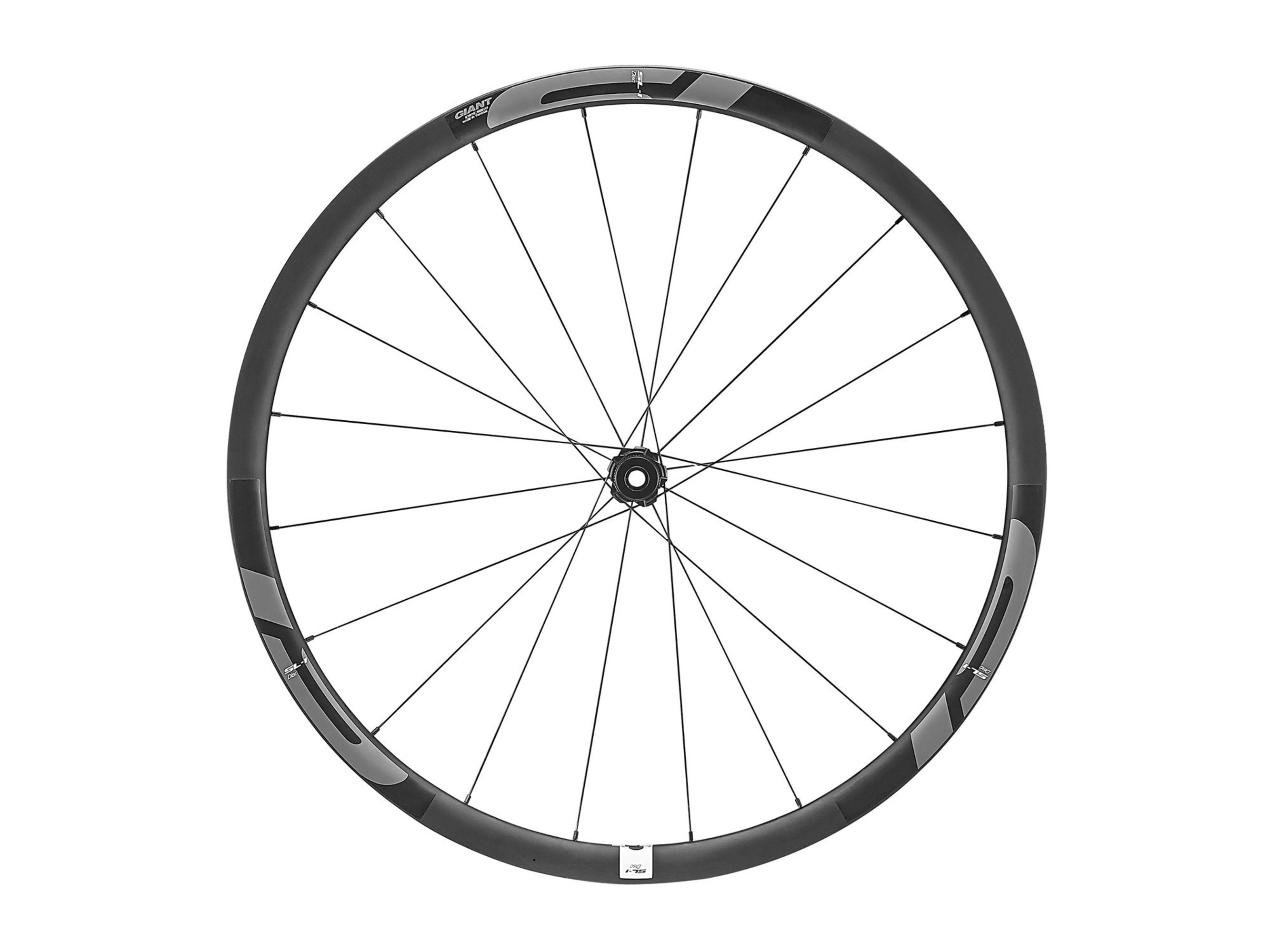 SL 1 Alloy Centerlock Disc Road