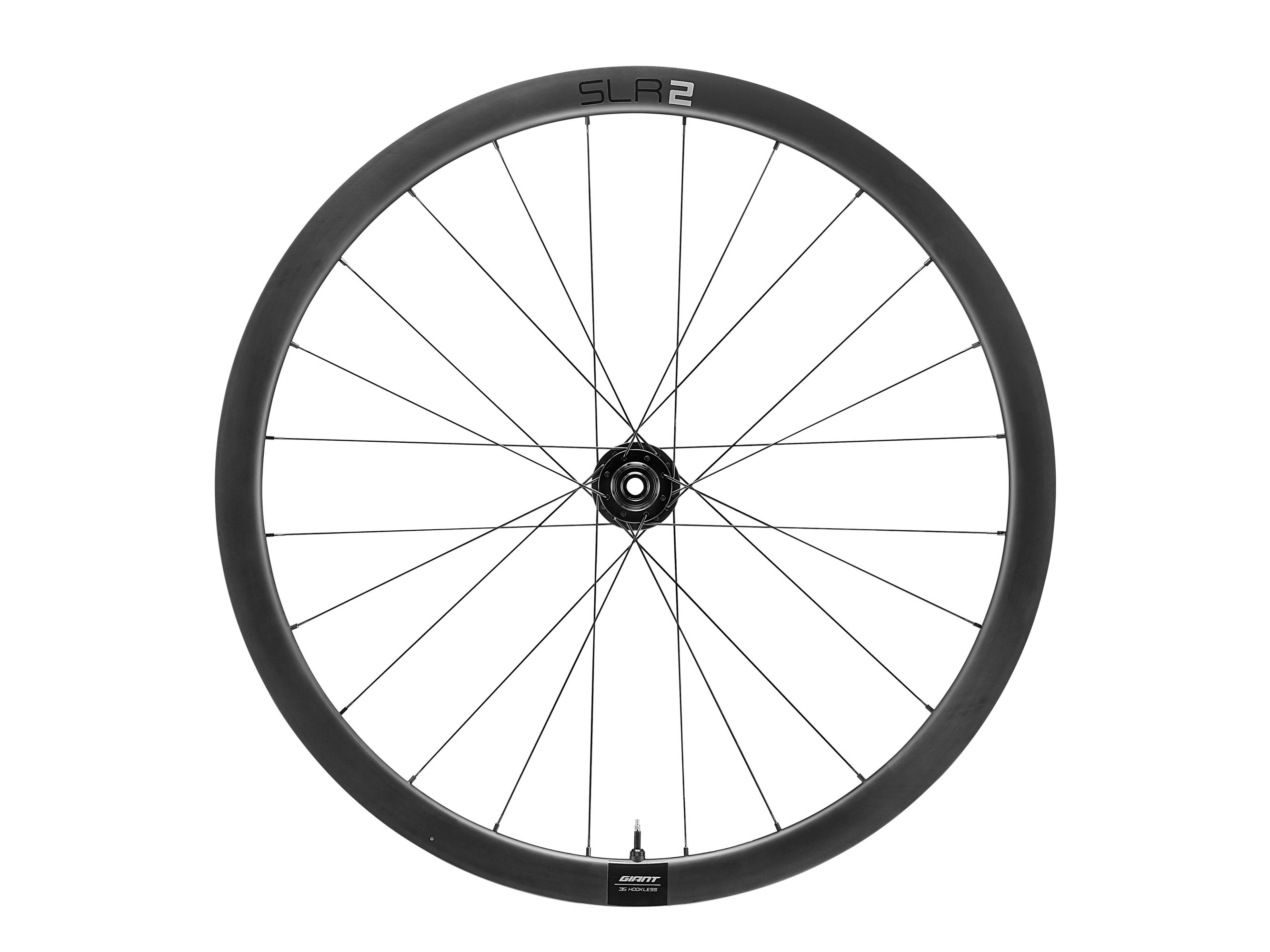 SLR 2 36 Disc Wheelsystem