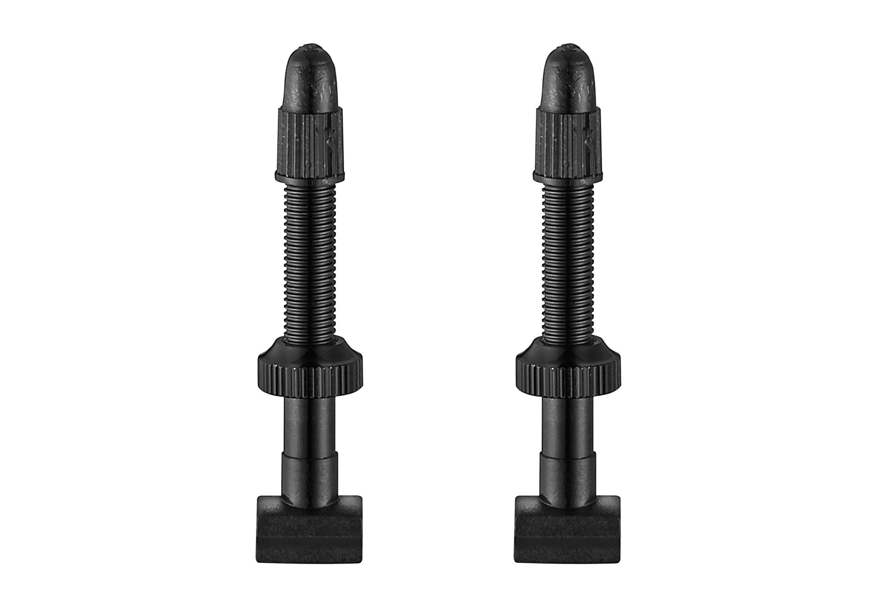 Tubeless Valve Stems (38mm) - 2/Pkg