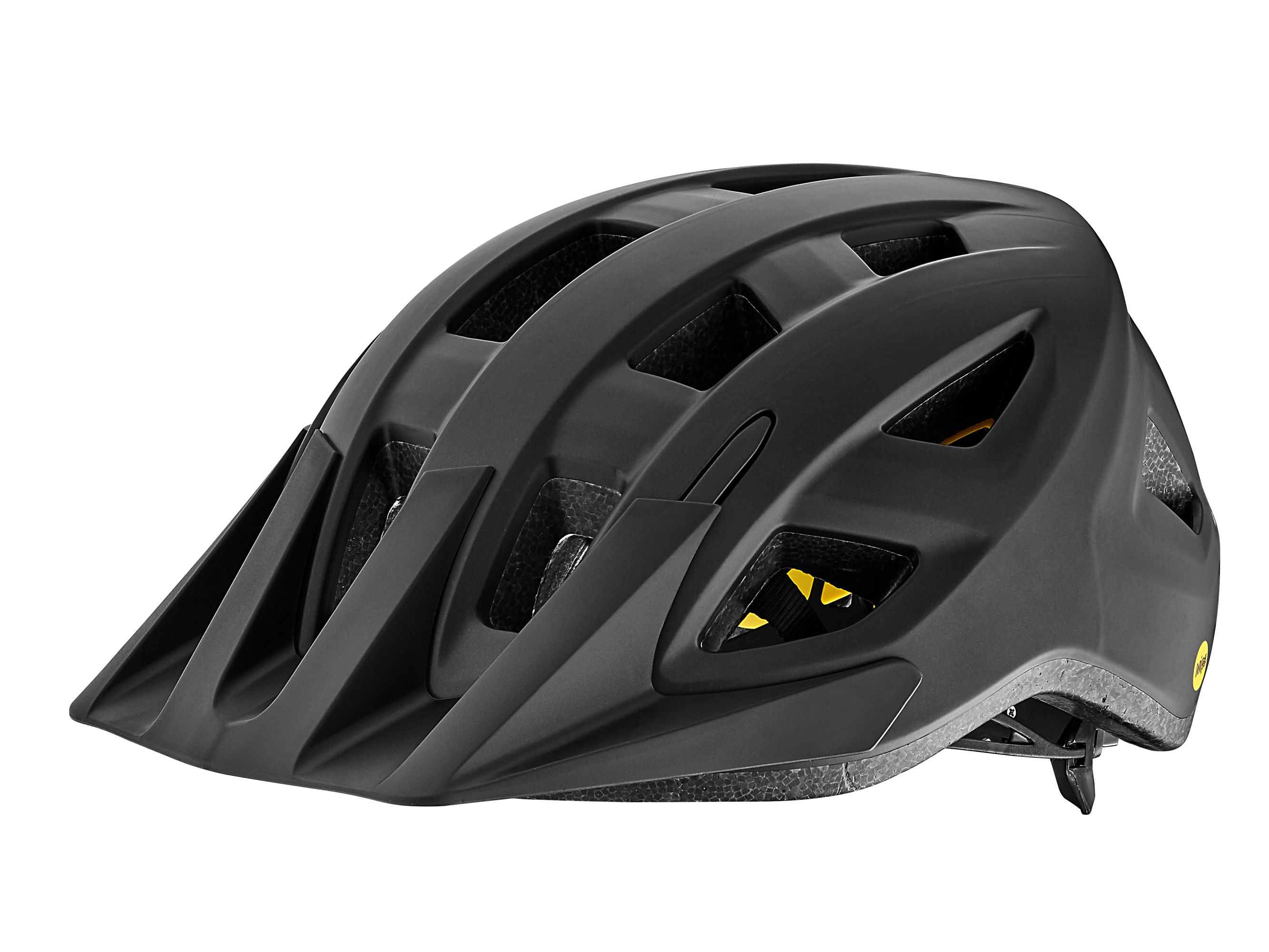 Path MIPS Mens Helmet