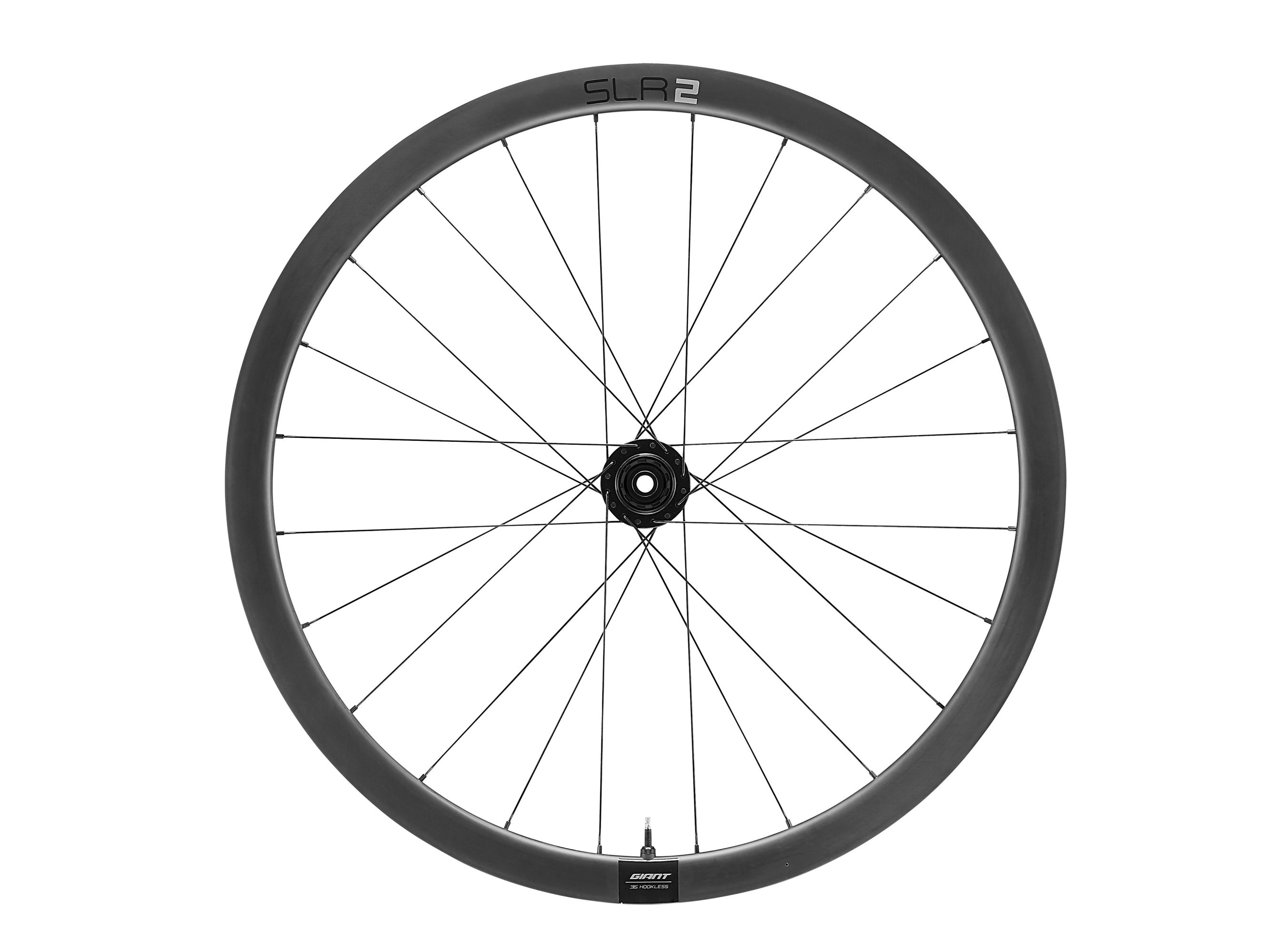 SLR 2 36 Disc Wheelsystem