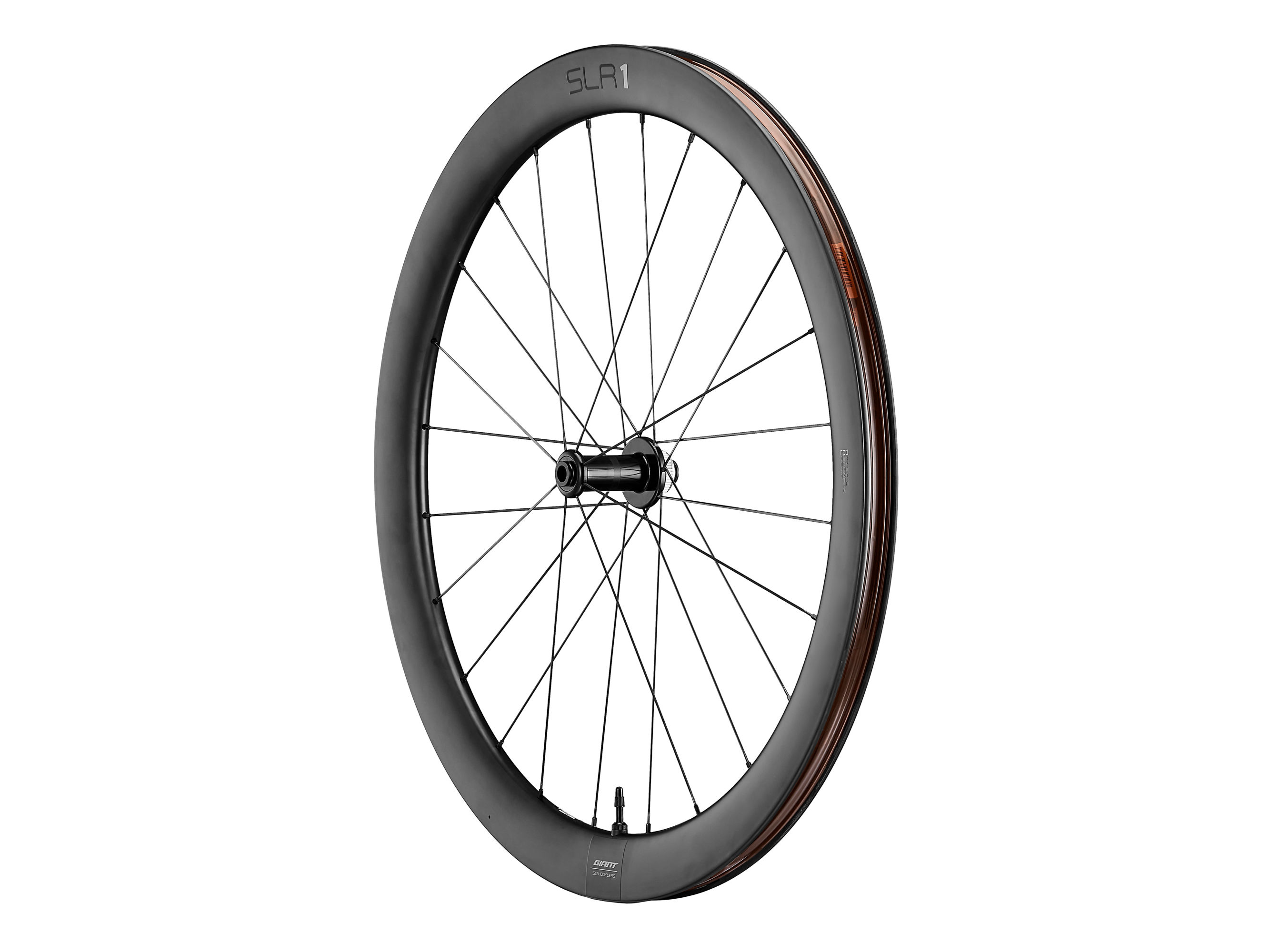 SLR 1 50 Disc WheelSystem