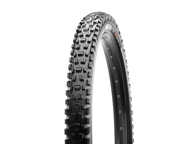 Maxxis Assegai Mountain Bike Tire