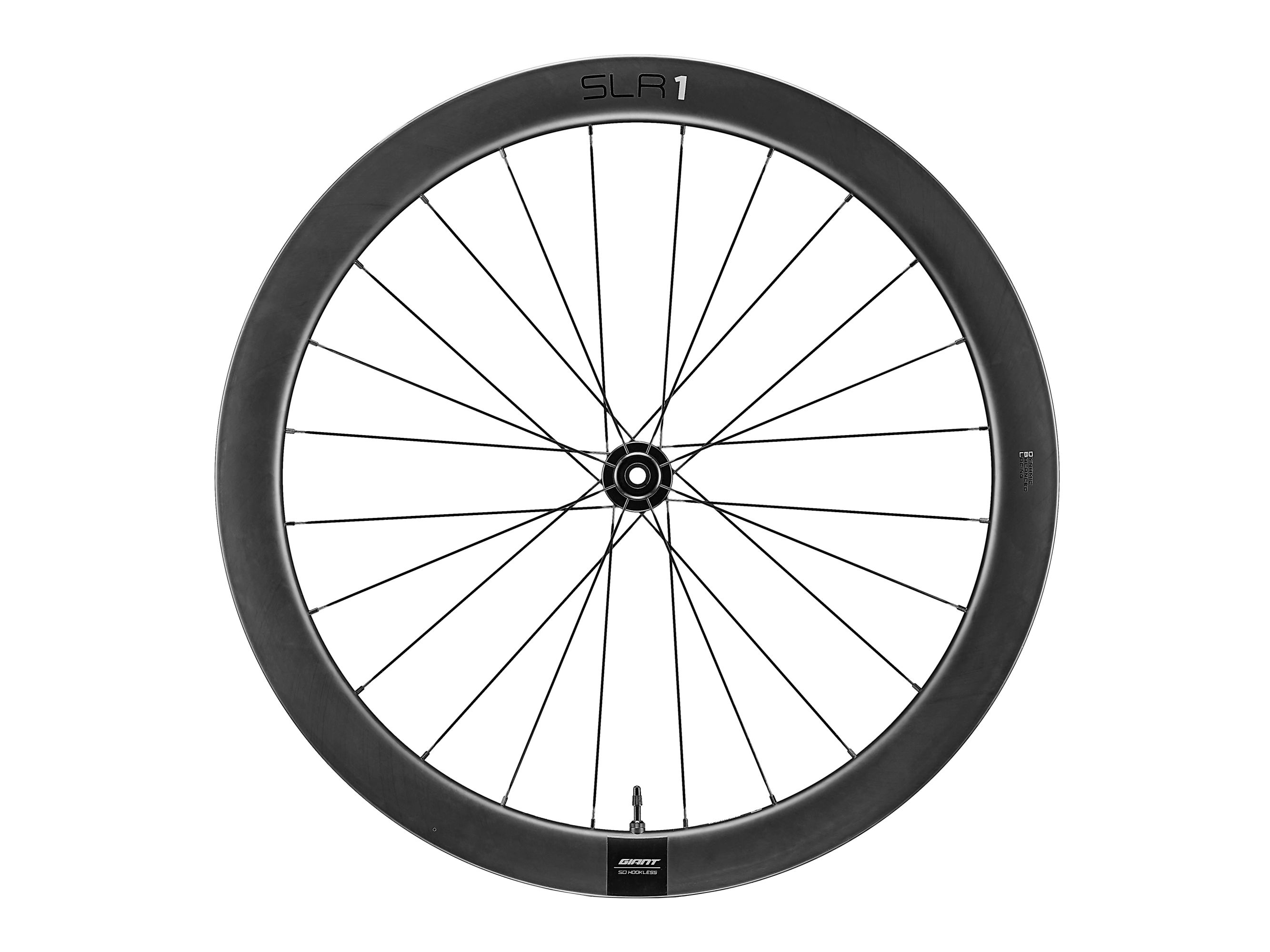 SLR 1 50 Disc WheelSystem