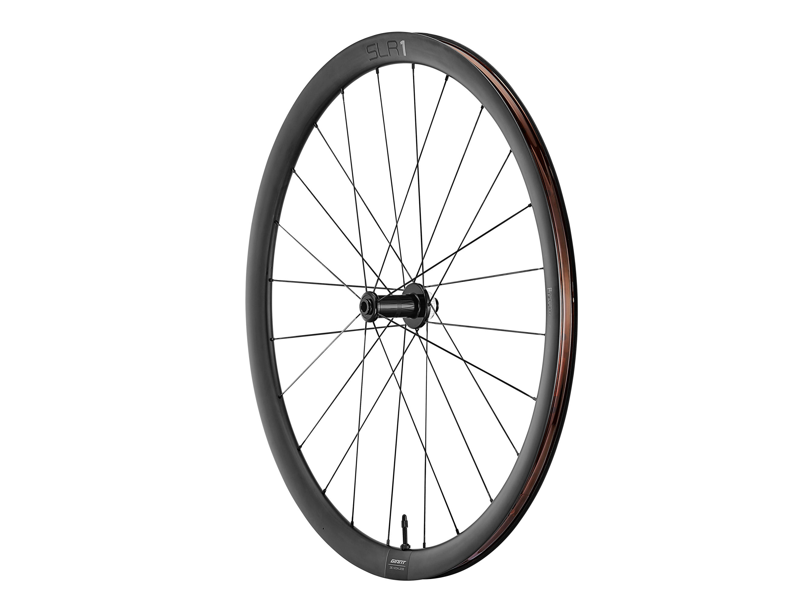 SLR 1 36 Disc Wheelsystem