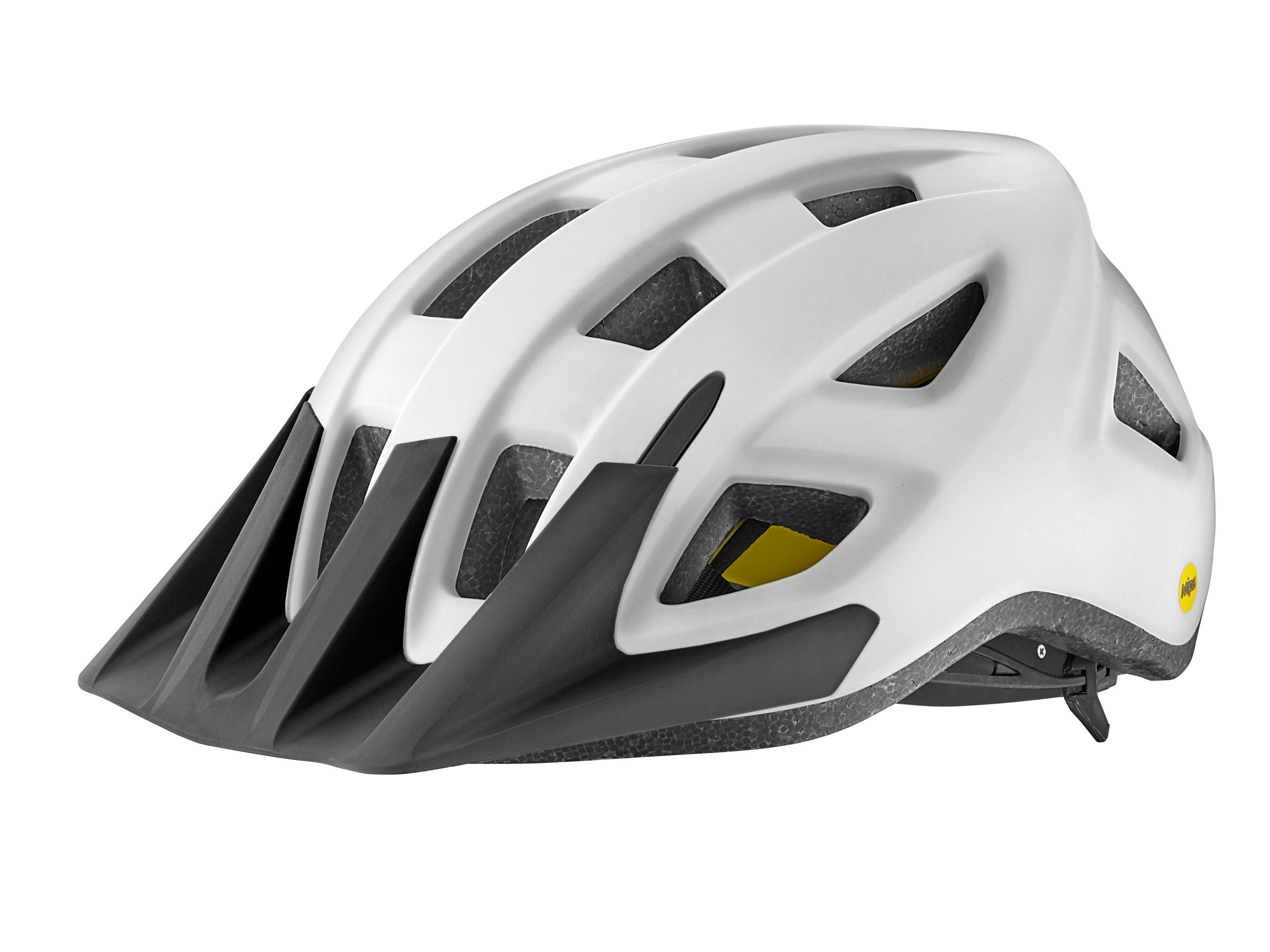 Path MIPS Mens Helmet