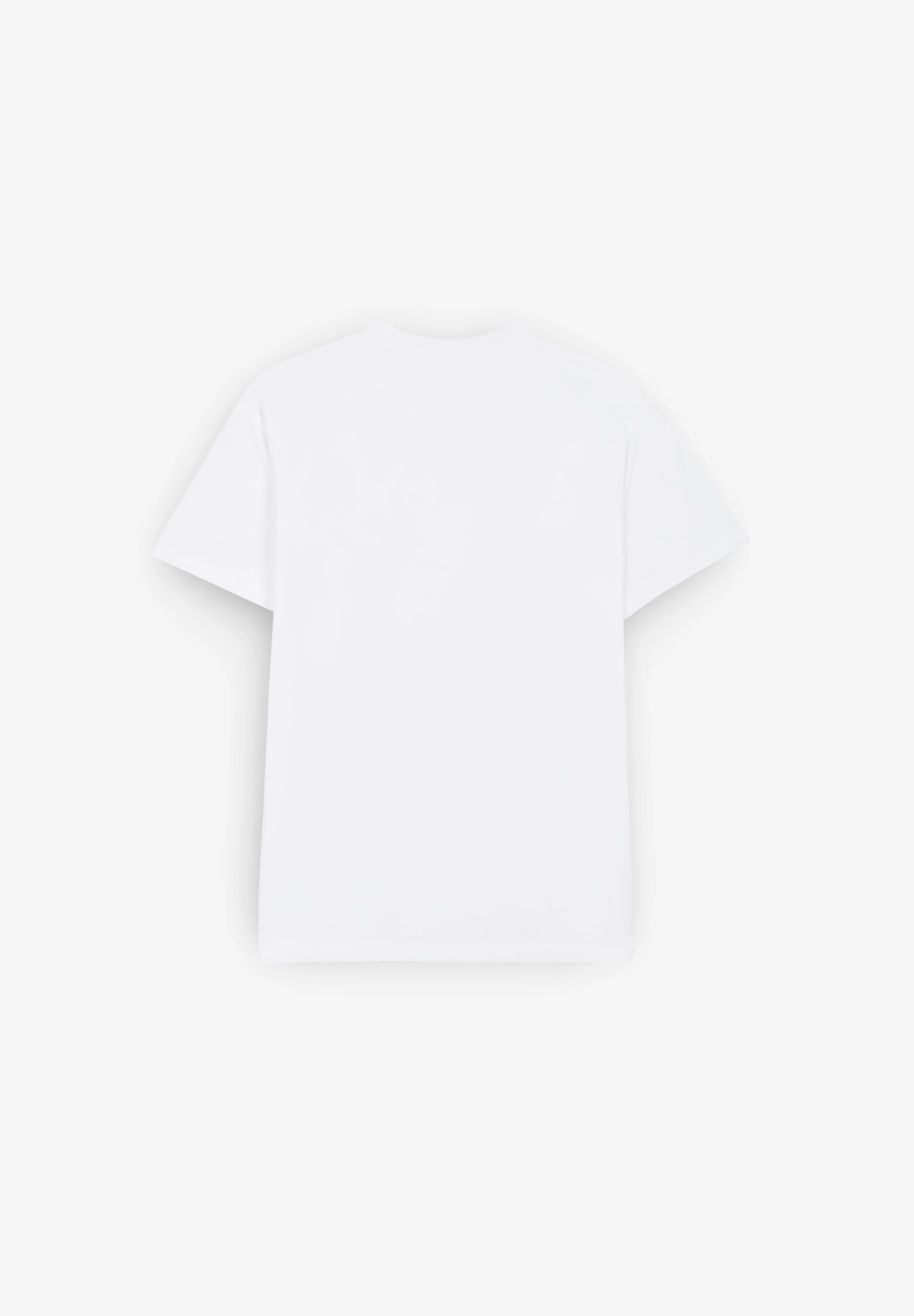 BRIXTON | CAMISETA INWOOD