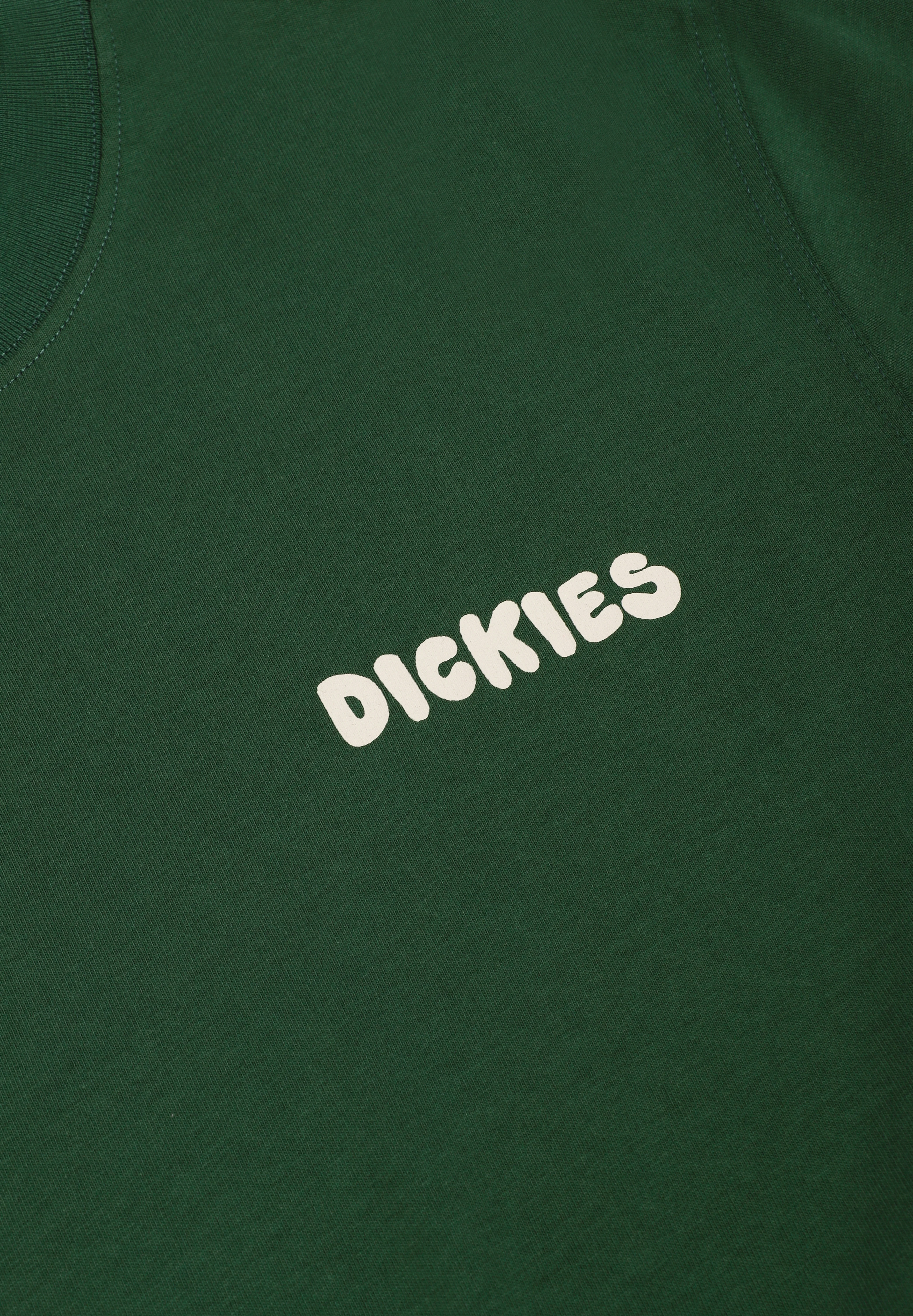 DICKIES | CAMISETA GORDONSVILLE
