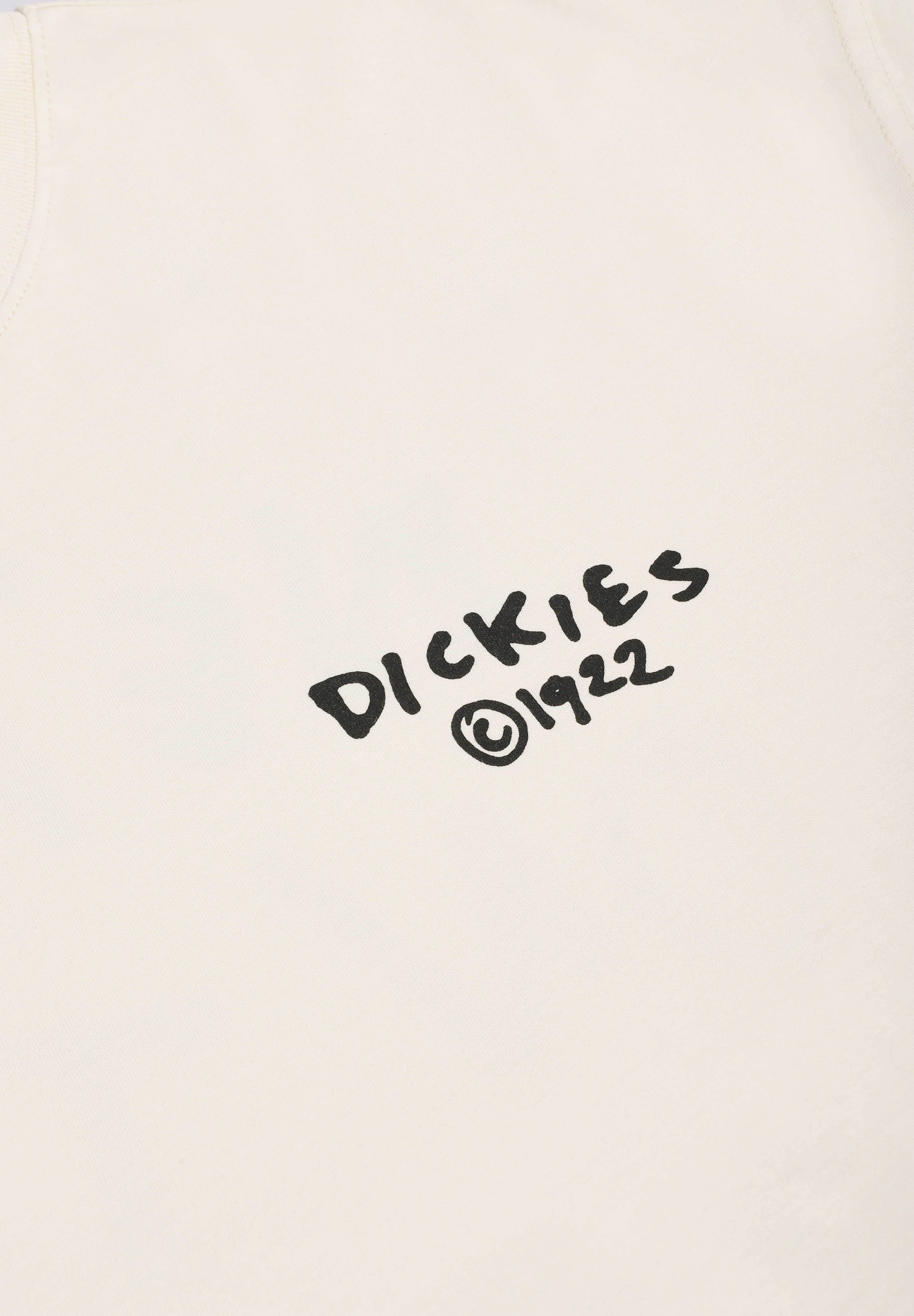 DICKIES | CAMISETA SNEEDVILLE
