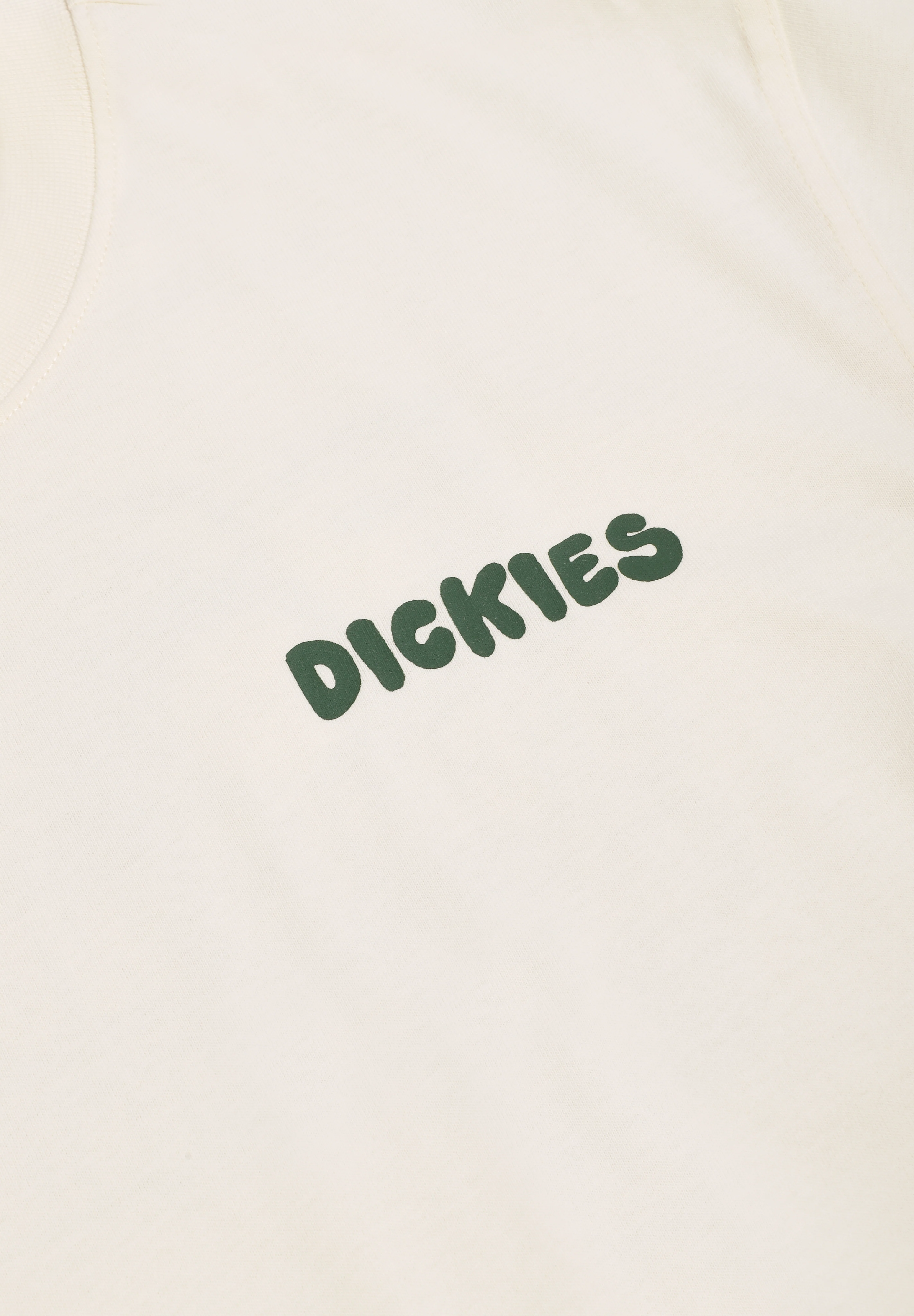 DICKIES | CAMISETA GORDONSVILLE