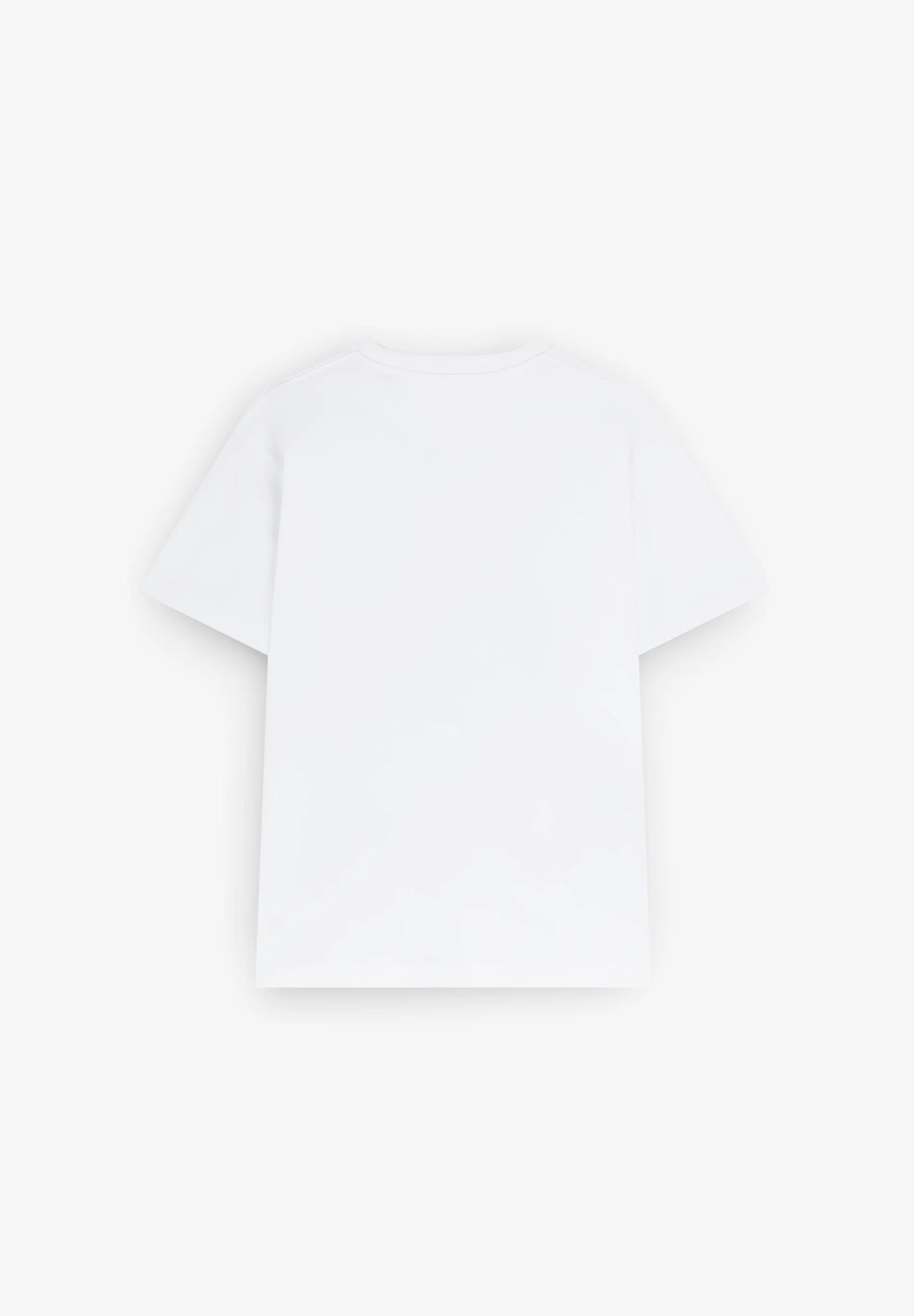 CAMISETA HEAVY WEIGHT ALGODÓN