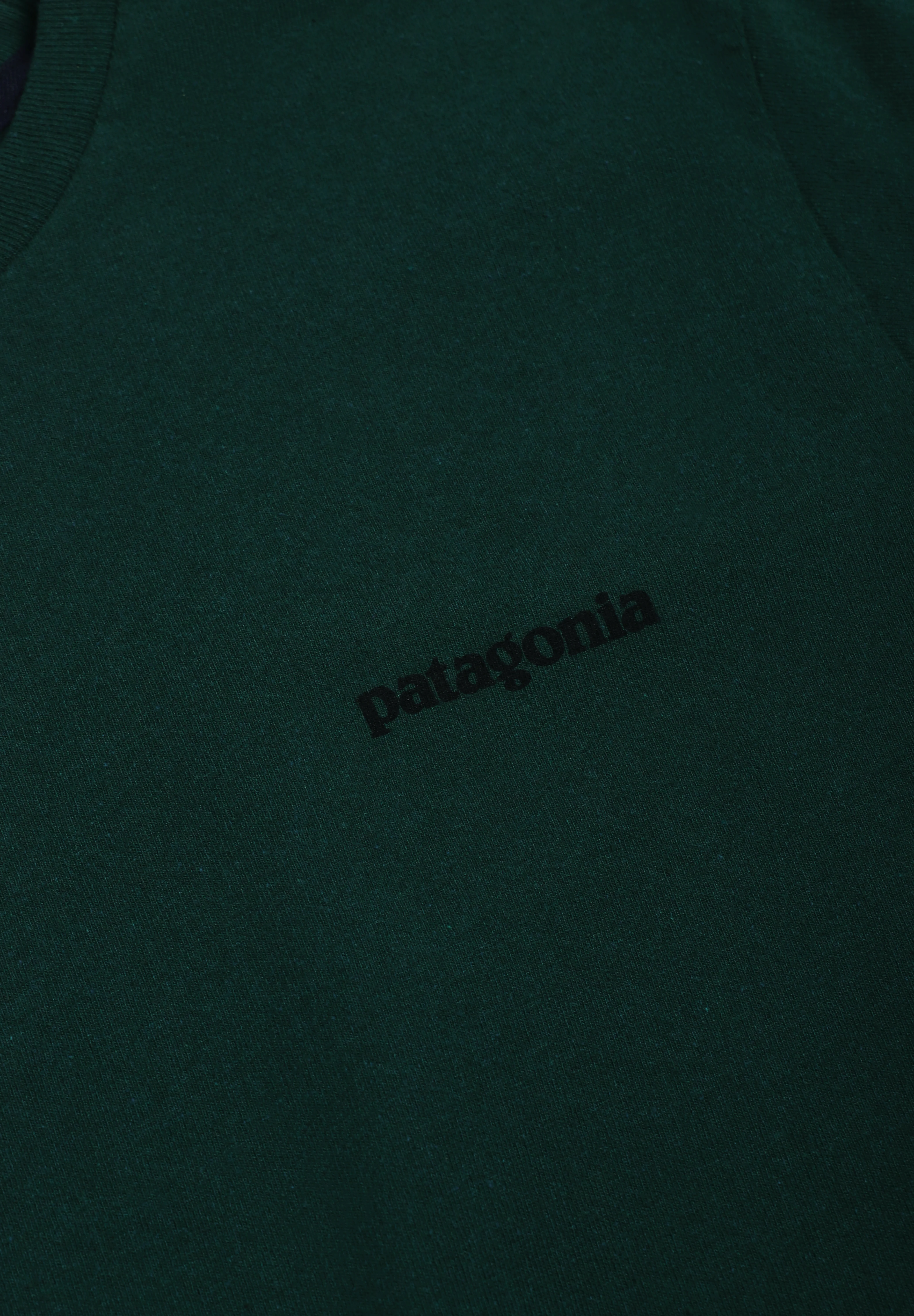 PATAGONIA | CAMISETA P-6 LOGO RESPONSIBILI HOMBRE