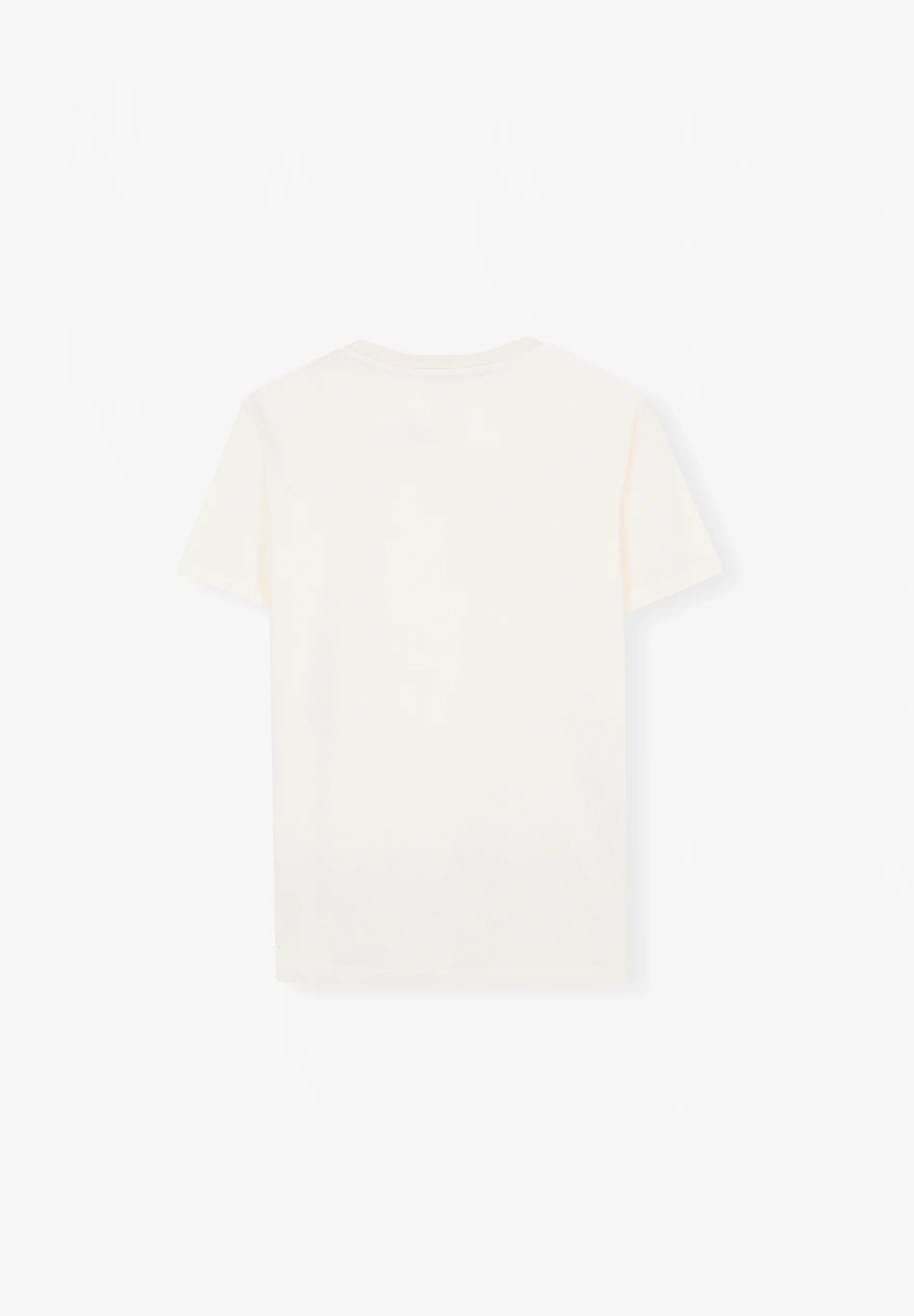 CAMISETA BÁSICA CALAVERA