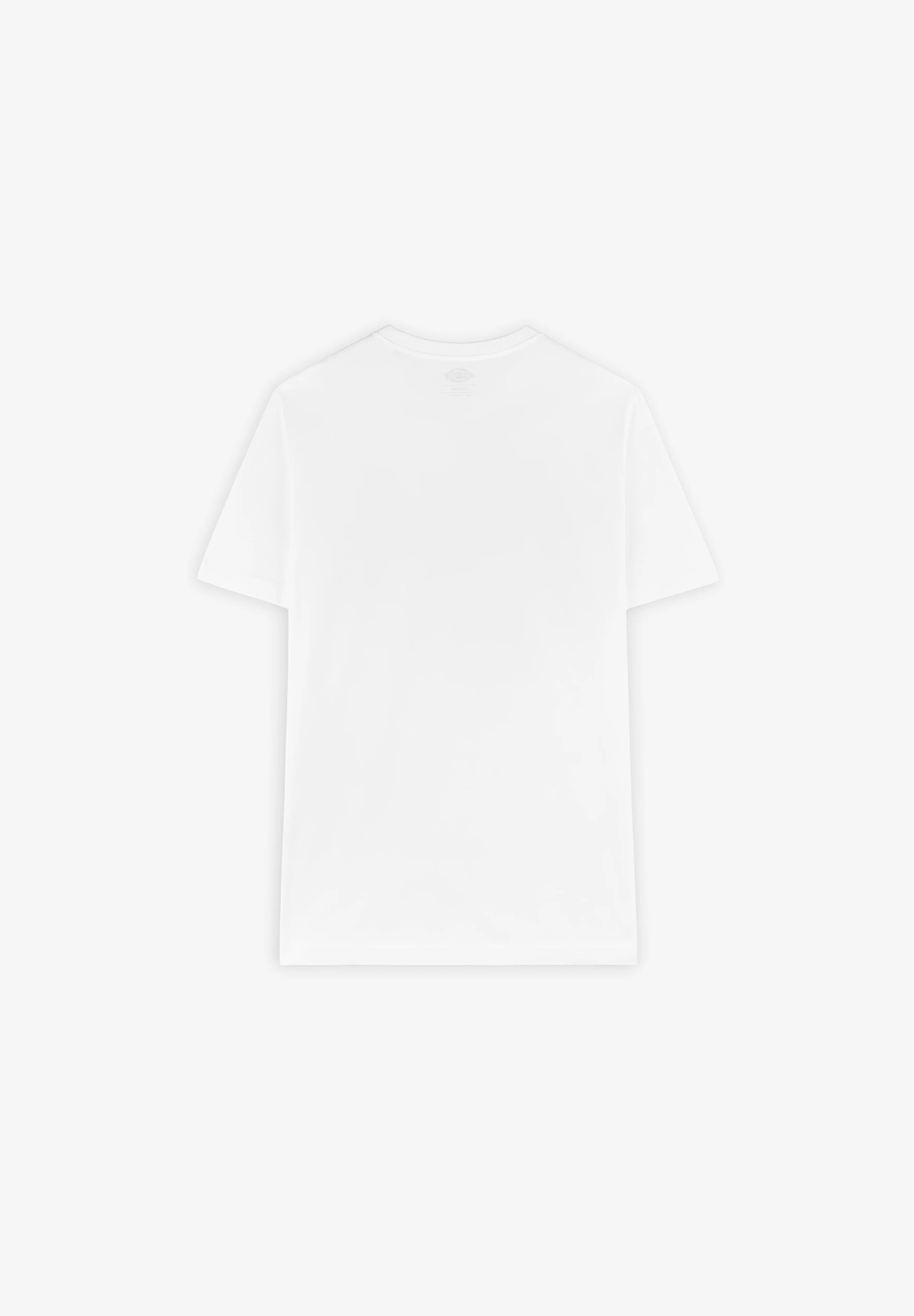 DICKIES | CAMISETA MAPLETON