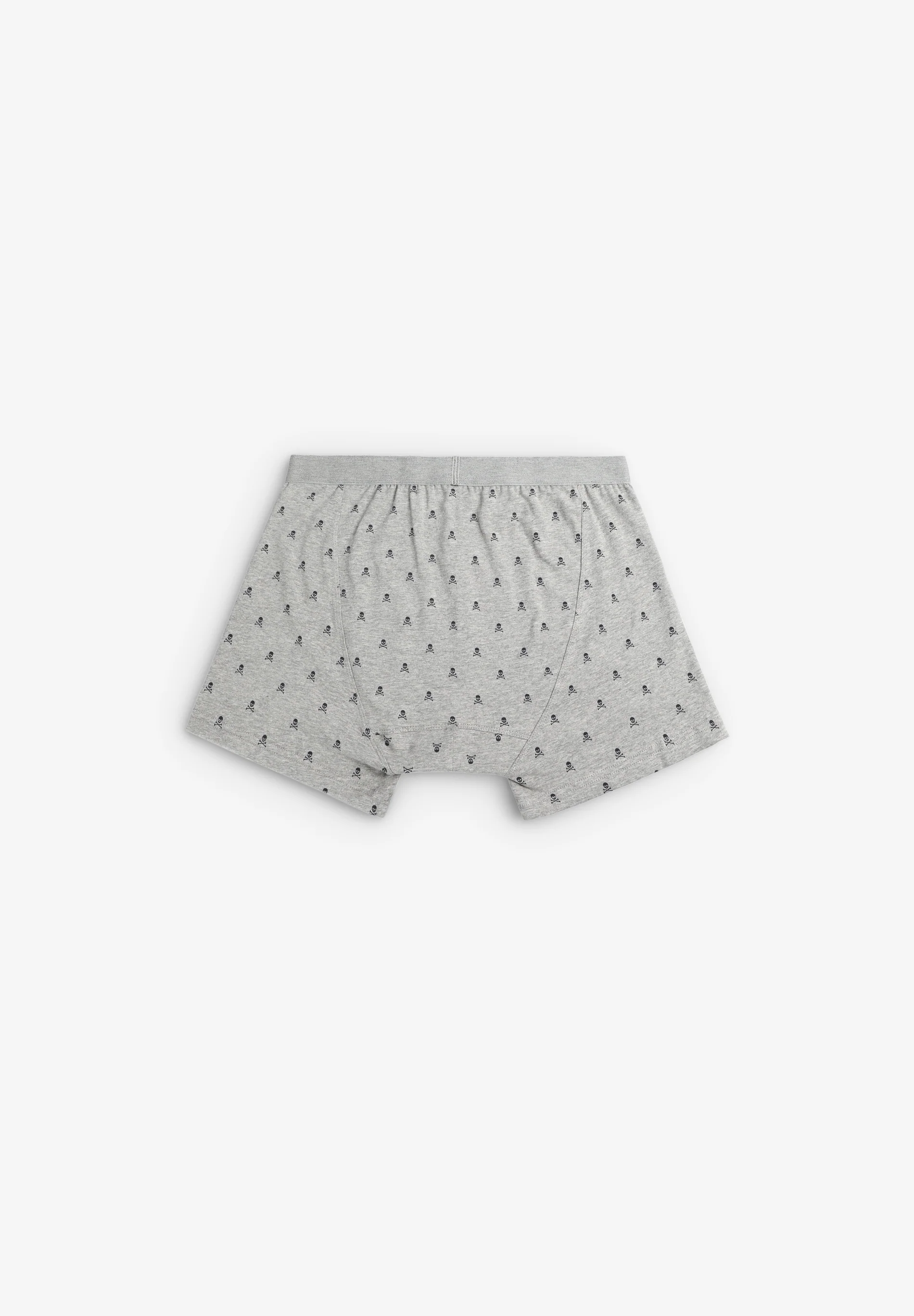 BOXER CALAVERAS