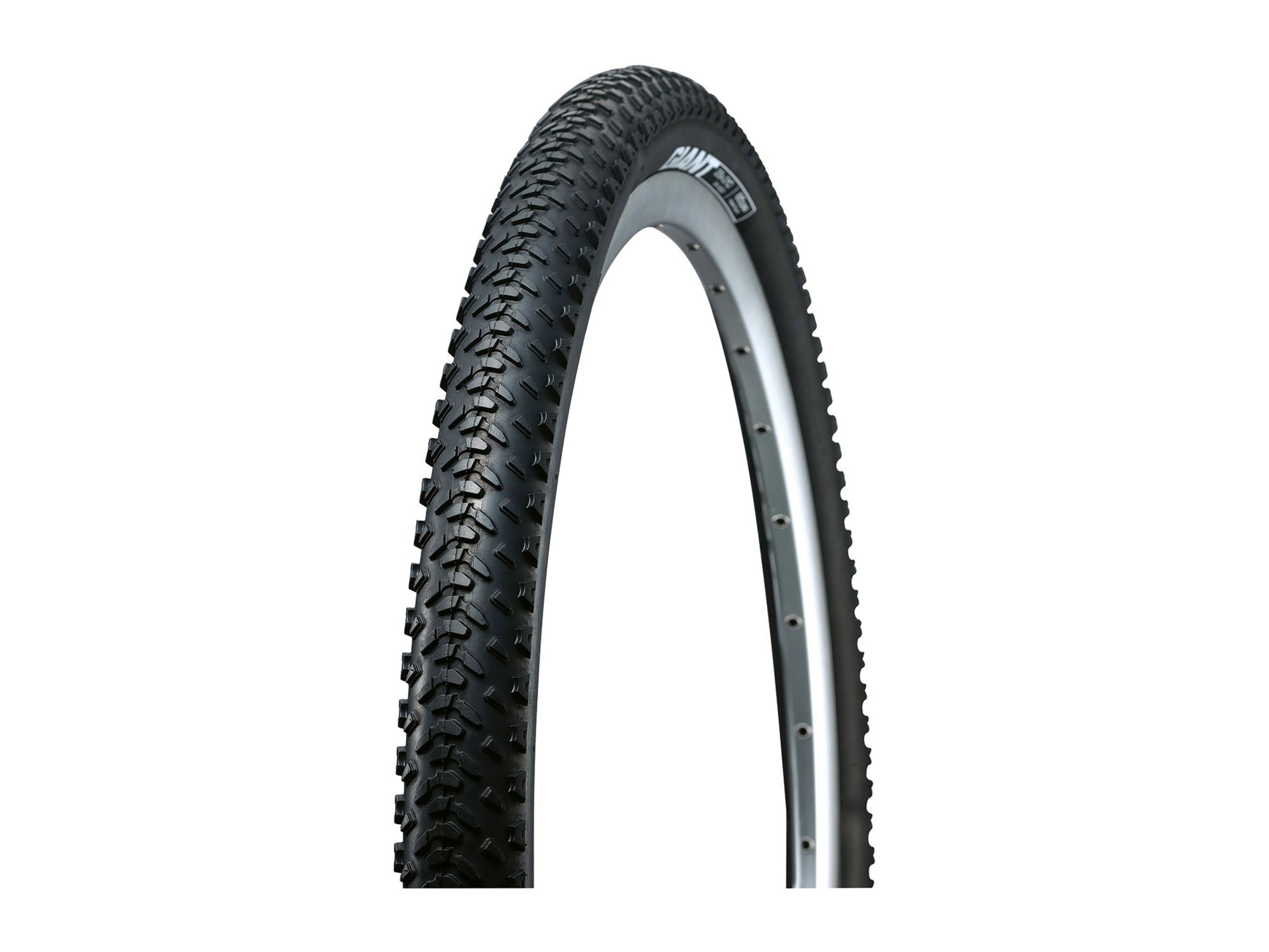 Revel Bicycle Tire