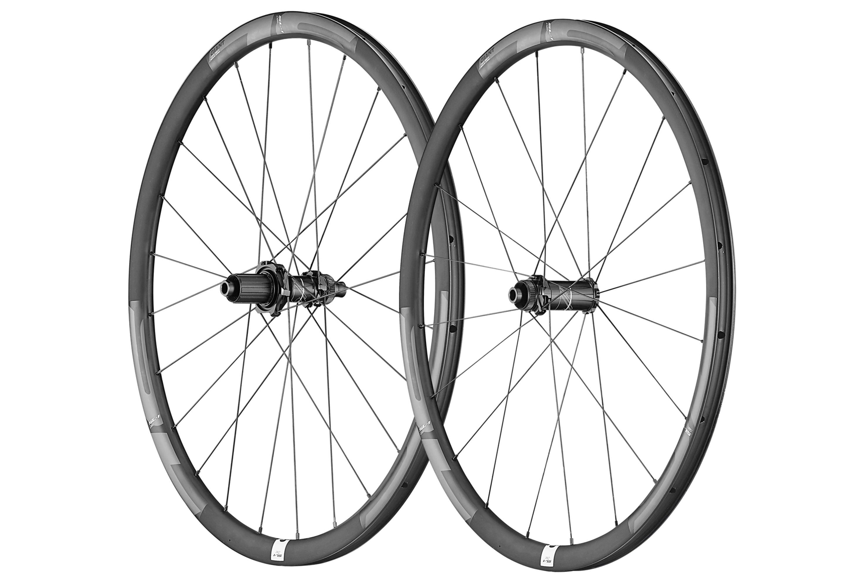 SL 1 Alloy Centerlock Disc Road