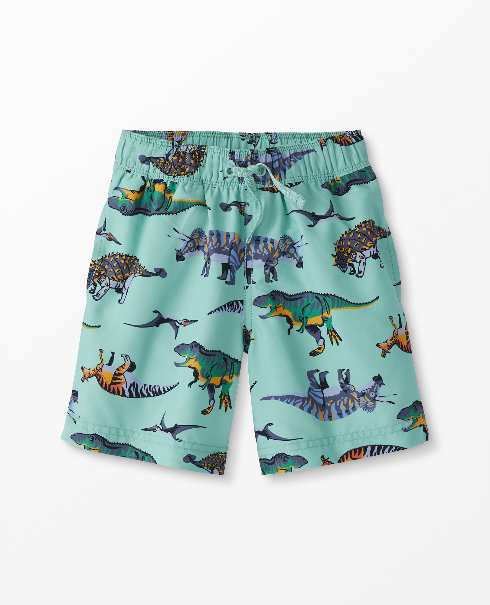 Print Swim Trunks