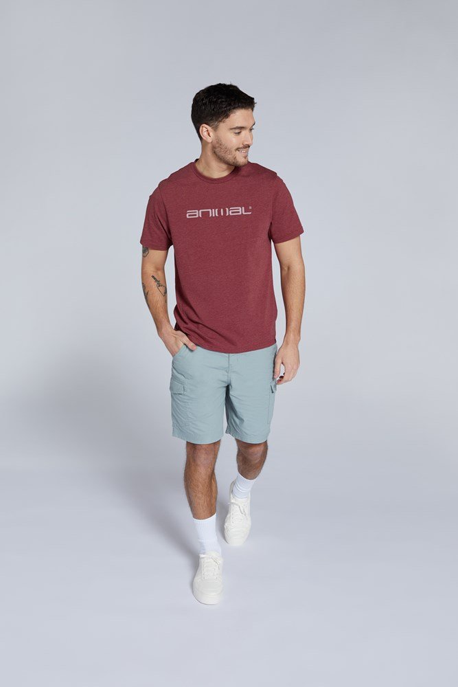 Animal Classico Mens Organic T-shirt